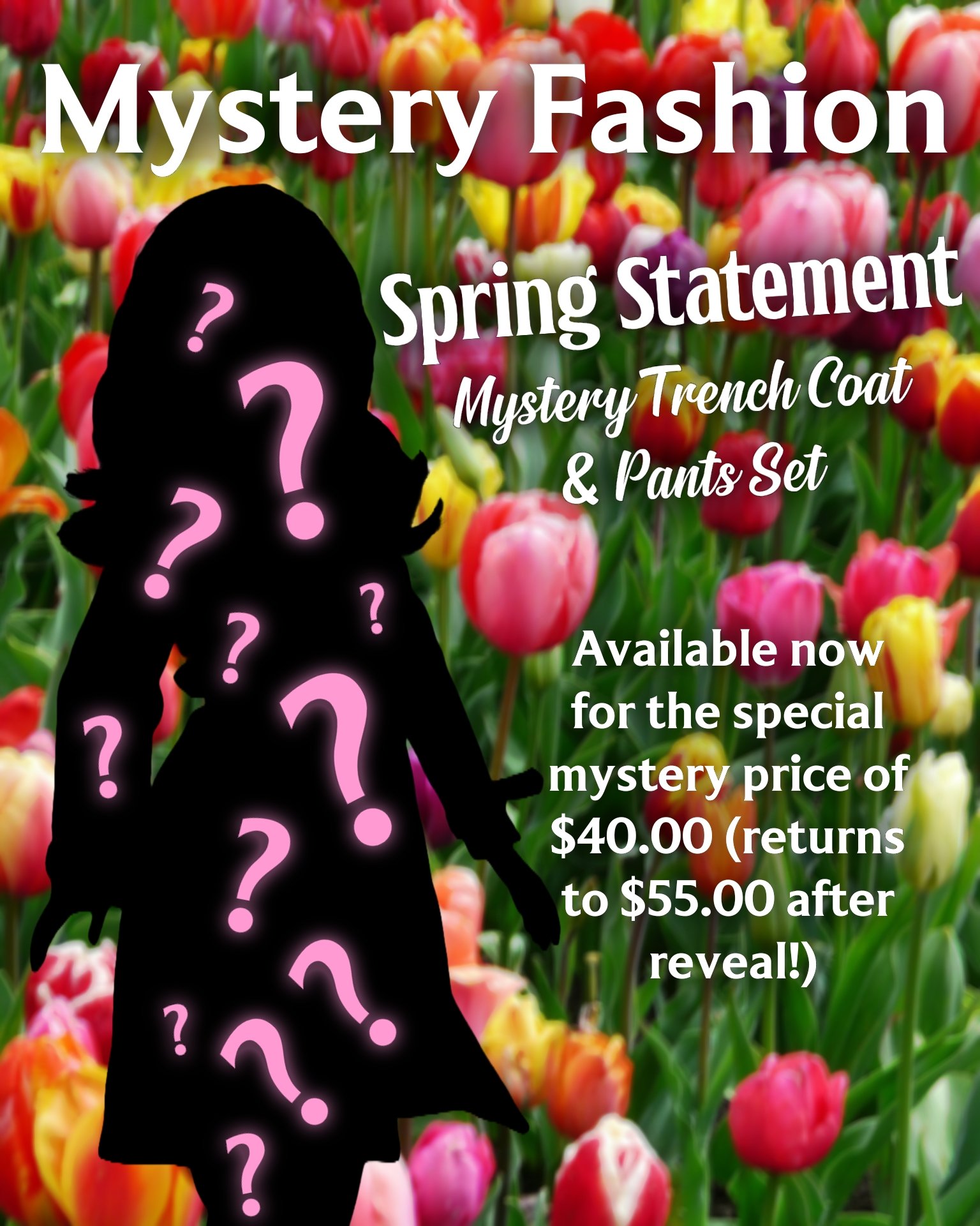 GRAPHICS_mystery fashion.jpg