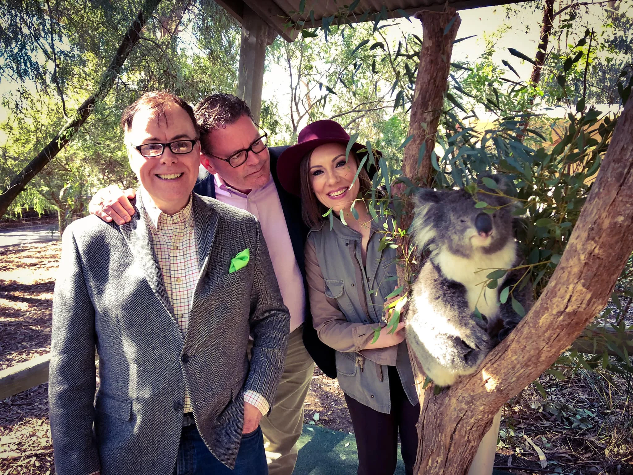 Rachel Hoffman Michael Canadas David Robinson Koala in Australia.jpg