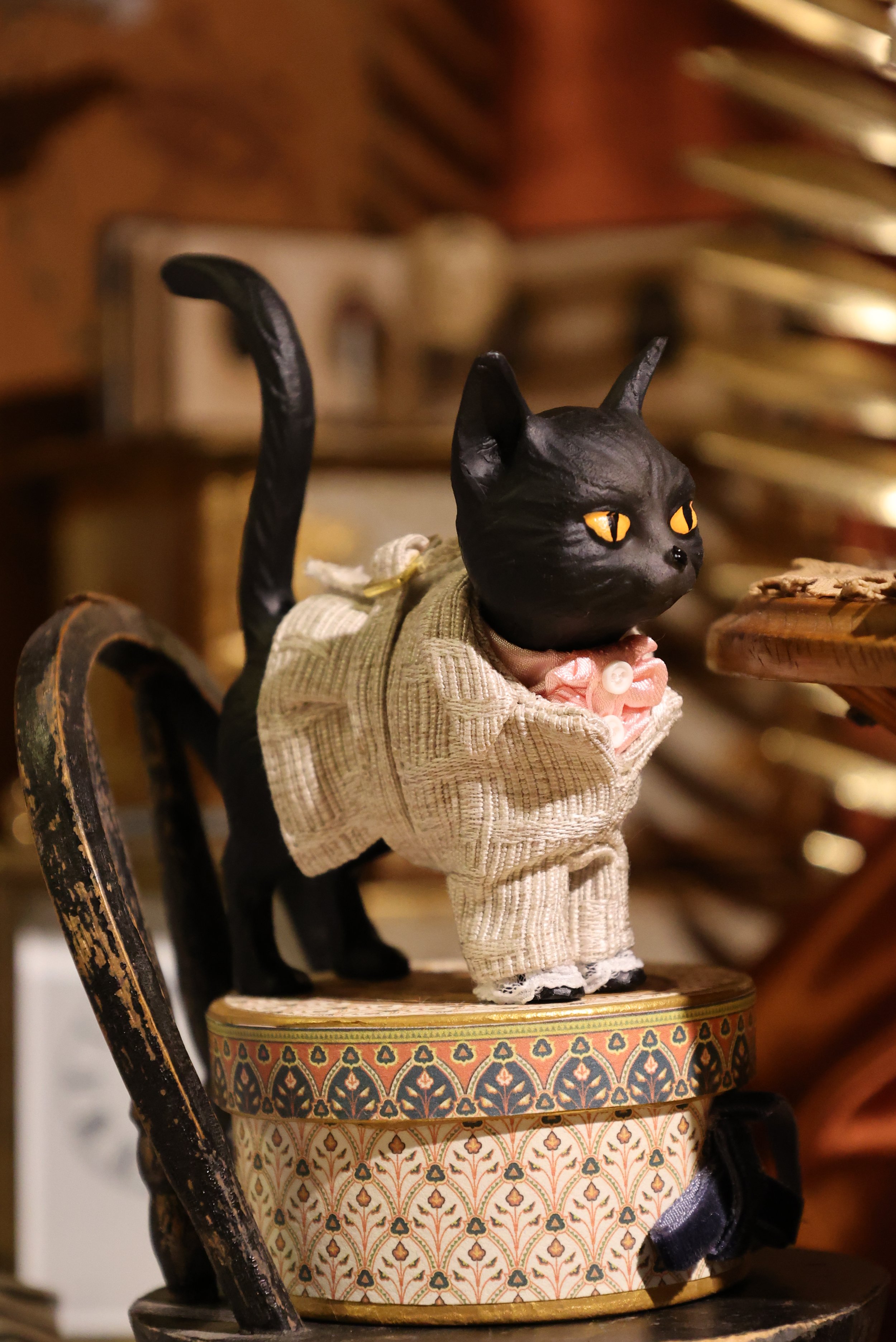 Cat Outfit.JPG