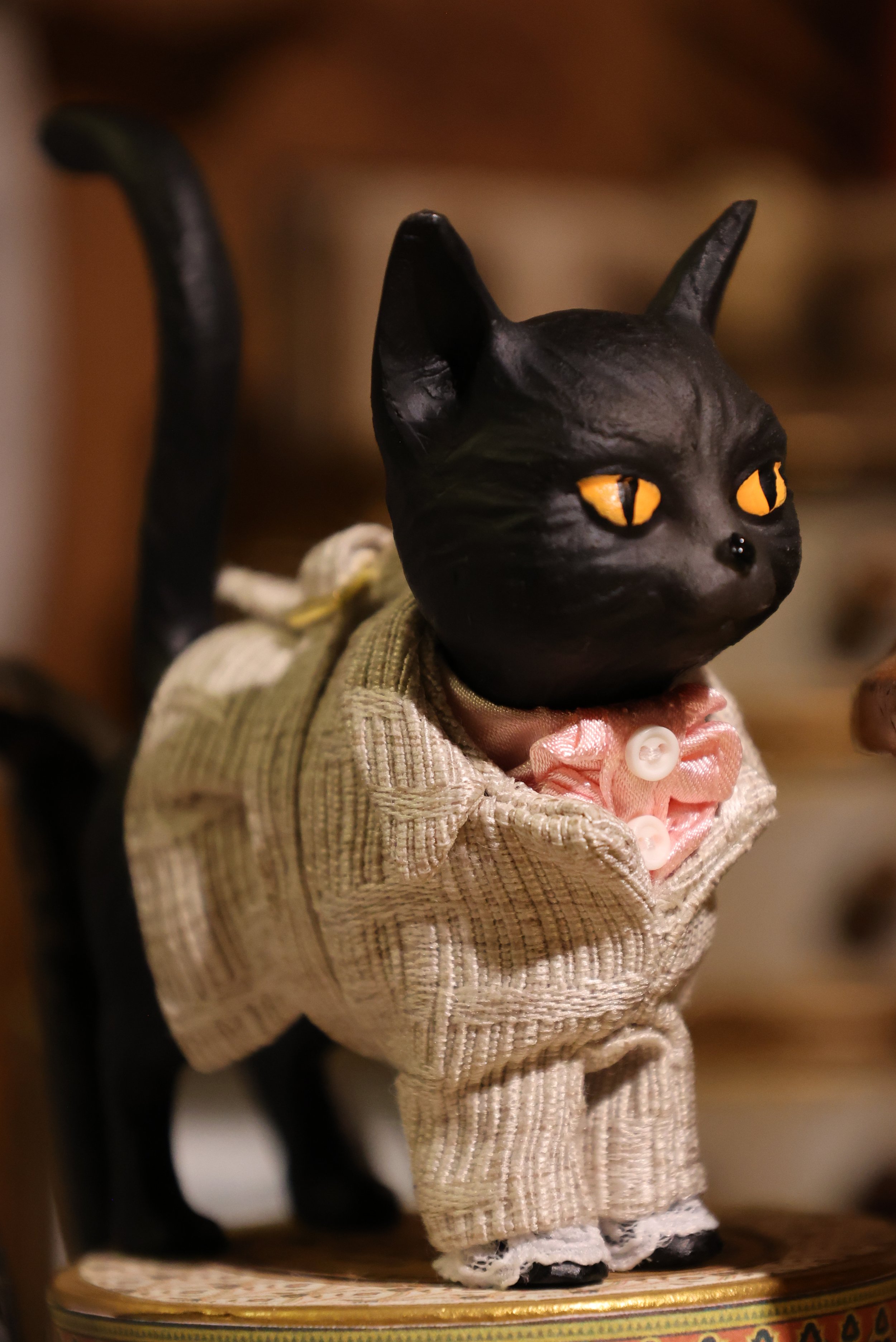 Cat Outfit 1.JPG