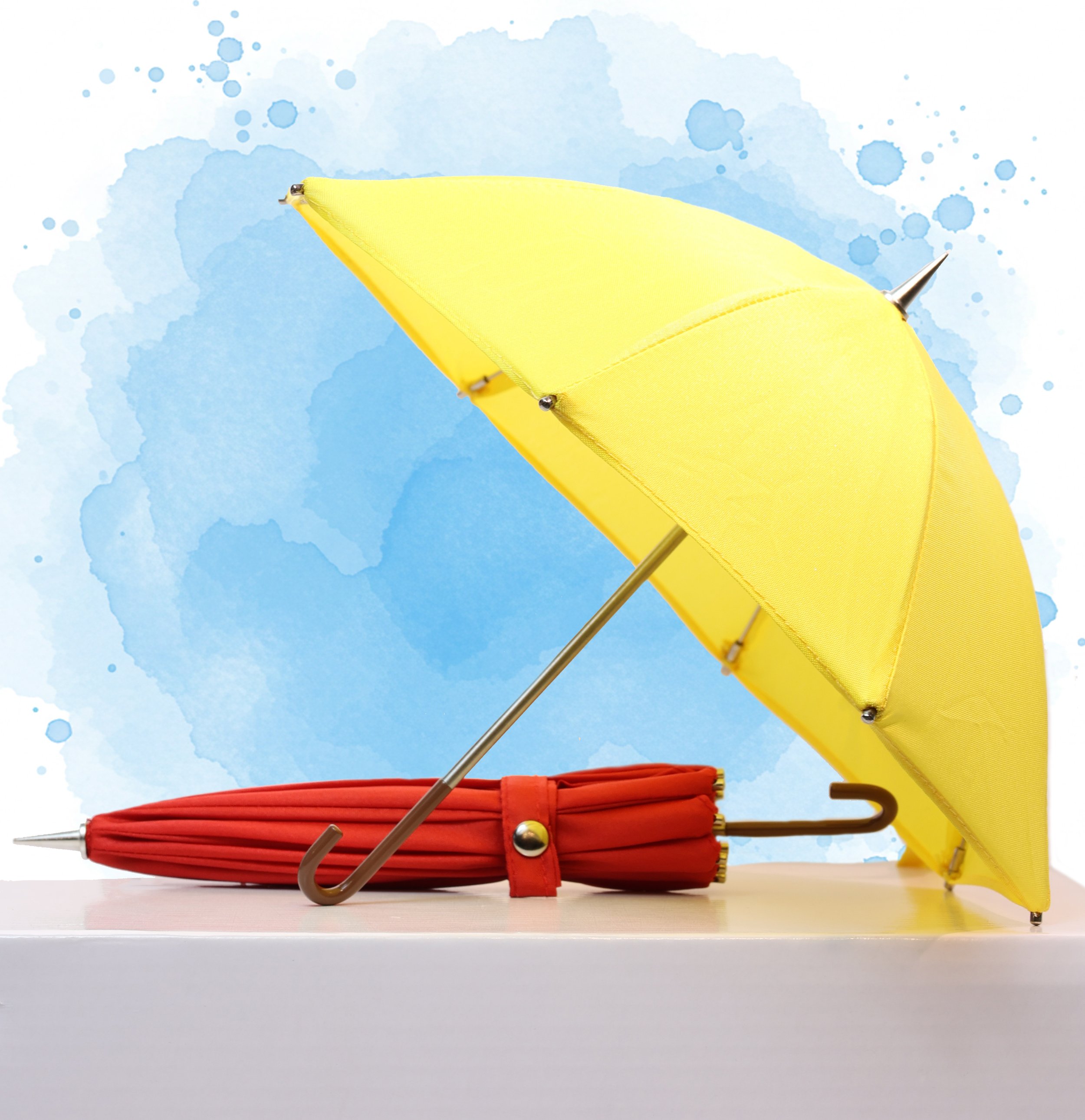 Puddle Jumping Umbrella Display.jpg