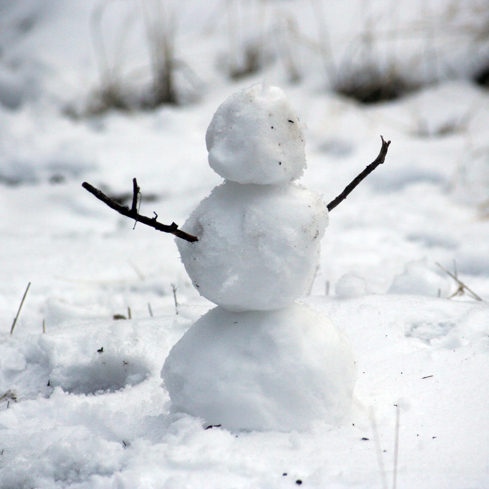 Winter Recess (schools closed) 12/23-1/1