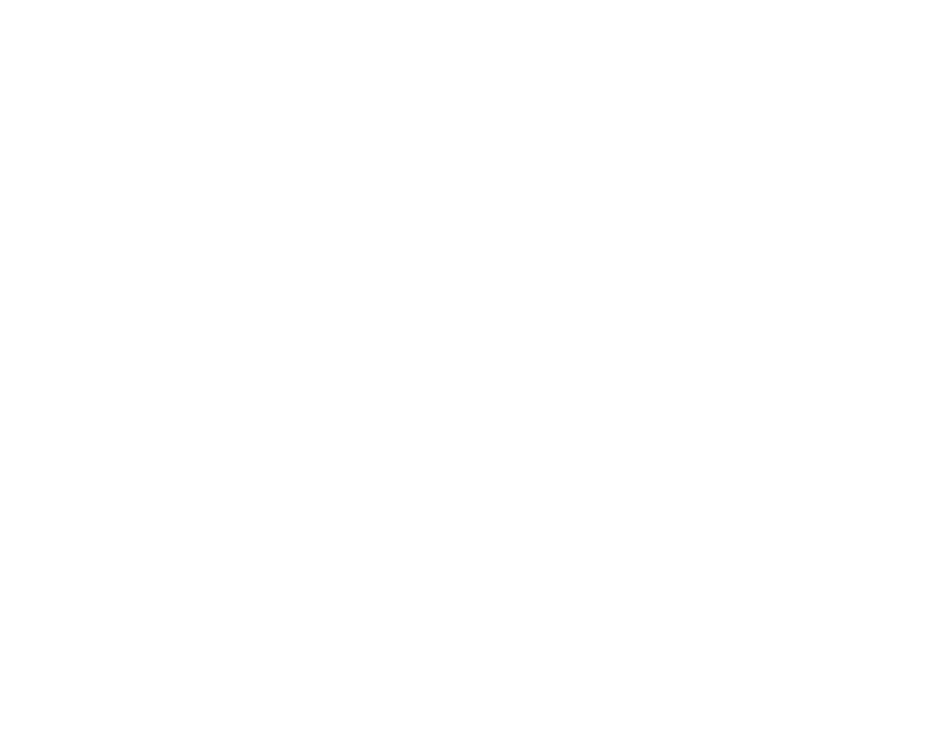 theflashdance_white.png