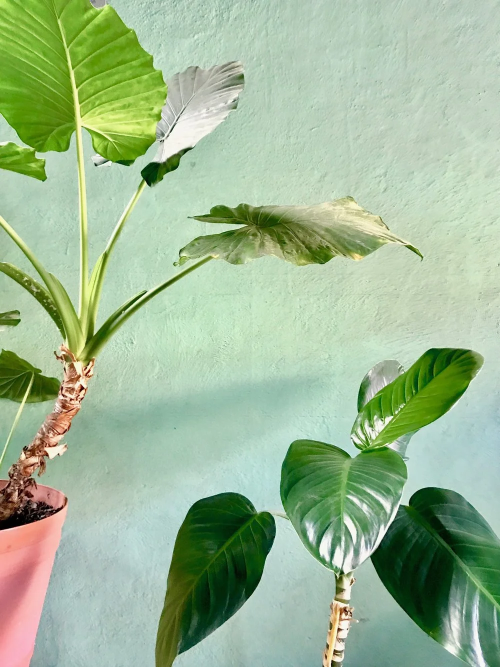 Matthew Rubino: flashdance radio #10