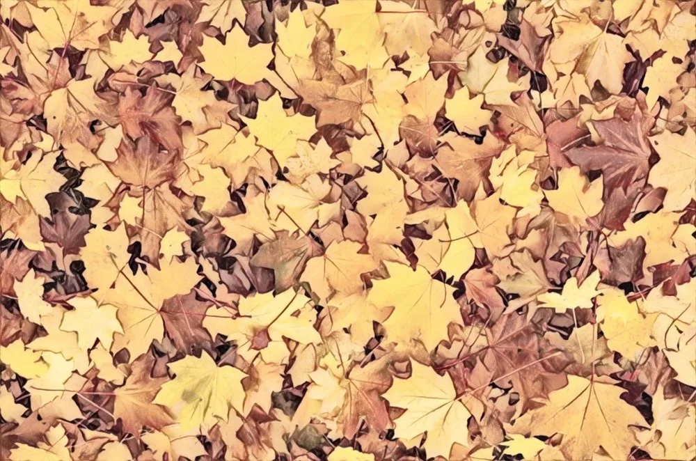 Vinay Shah: Fall 2017 Playlist