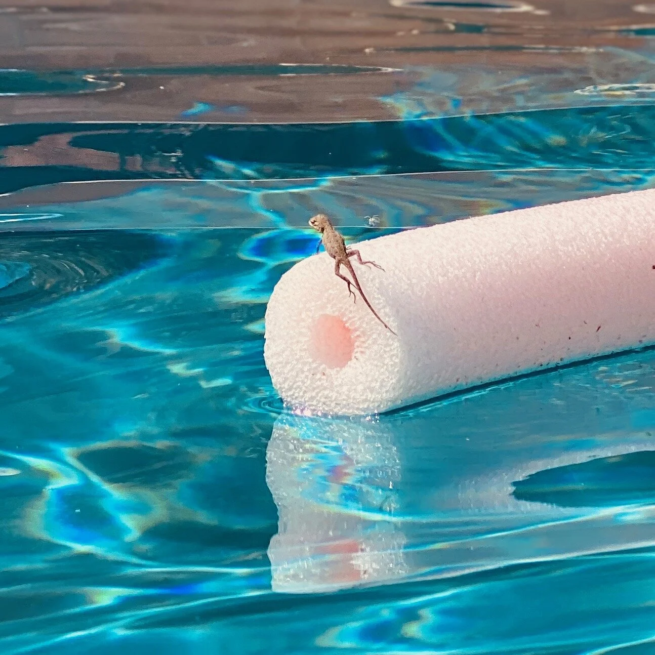 Flashdance Radio #11