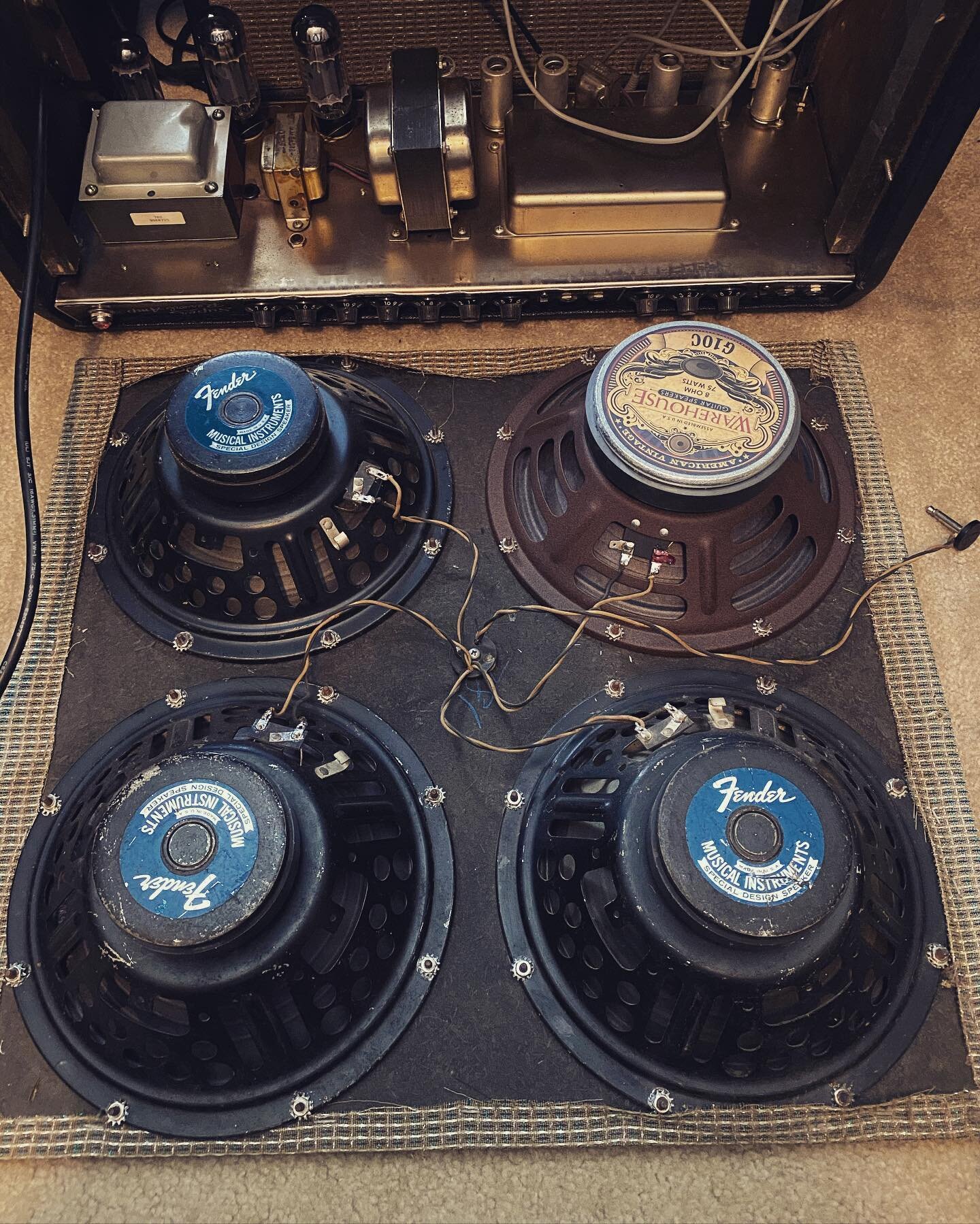 Trying some different speakers in my 1965 Super Reverb. #fender #superreverb #weber #jensen #guitaramplifier #guitar