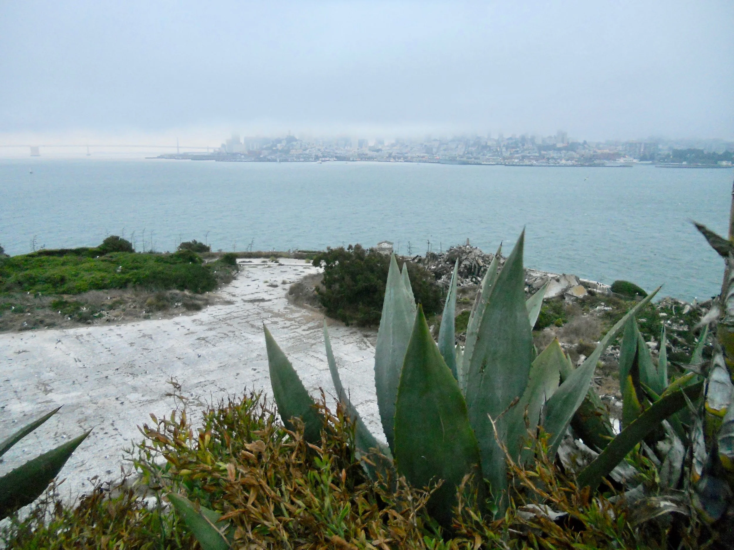 Only one mile of shark-infested waters separate separate Alcatraz Island with downtown San Francisco