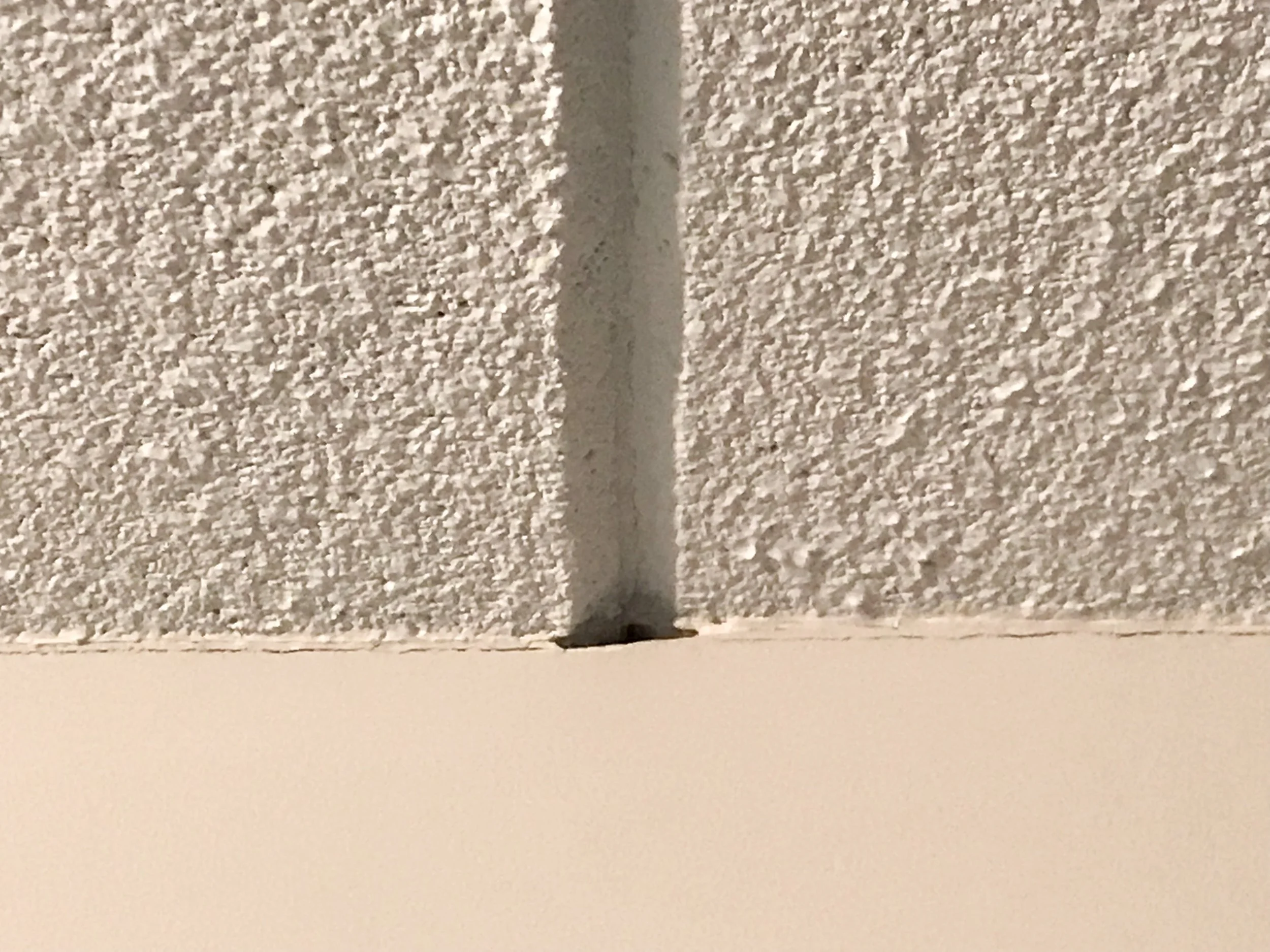 I found the source of the noise! Each spot where the ceiling pieces intersected the wall had a hole that allowed sound and light from the room next to me to emanate in (in the middle of the night).