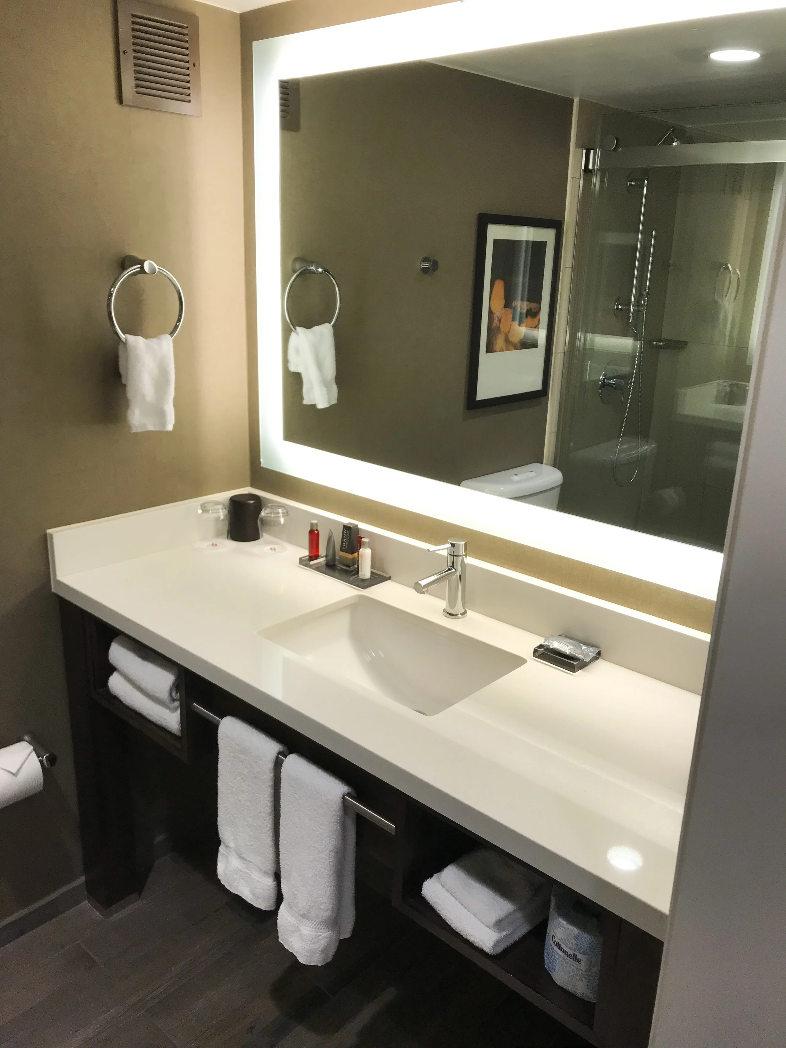 The bathroom only had a single sink, but had a large counter.