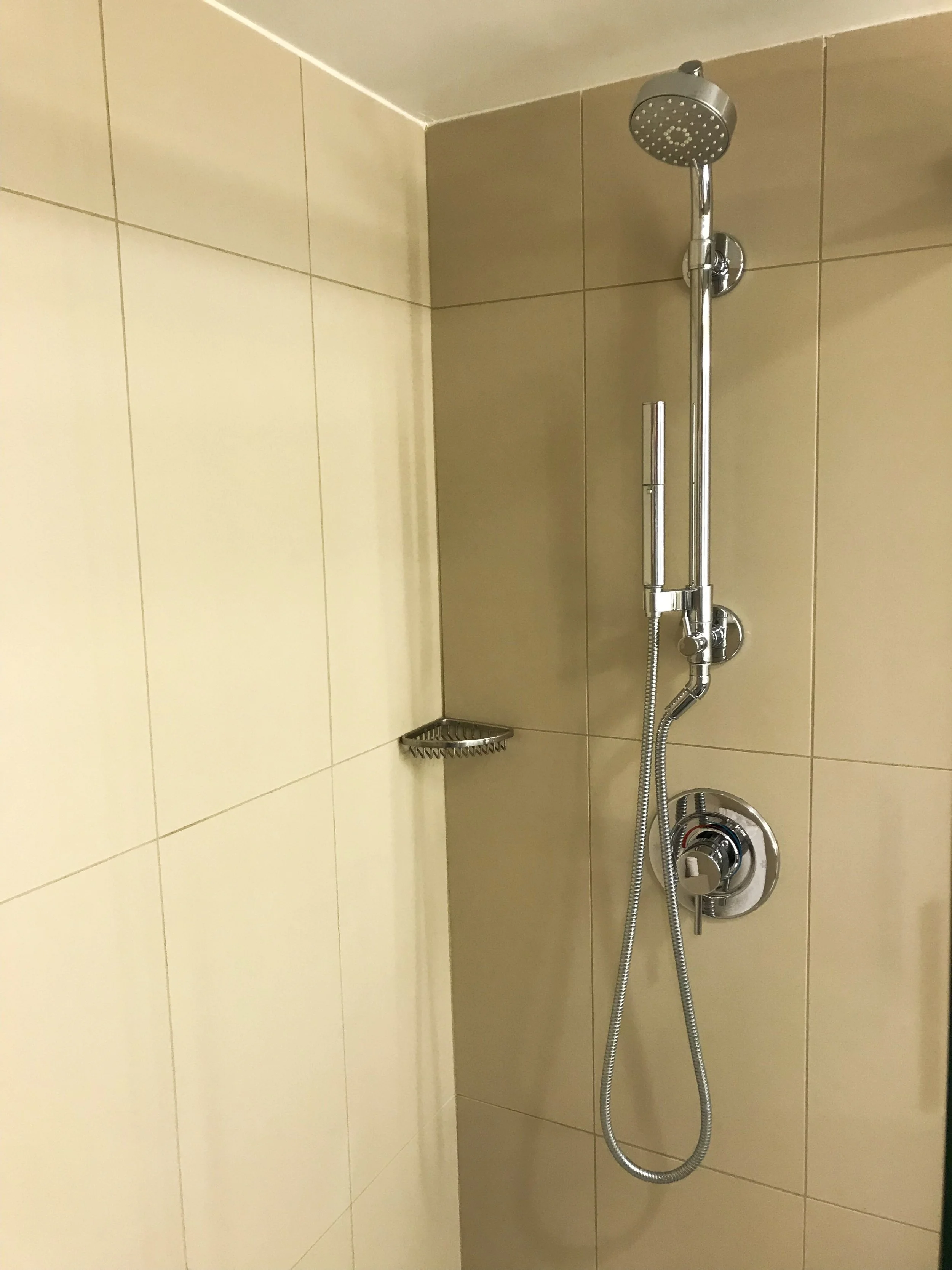 The shower also had a handheld extension.
