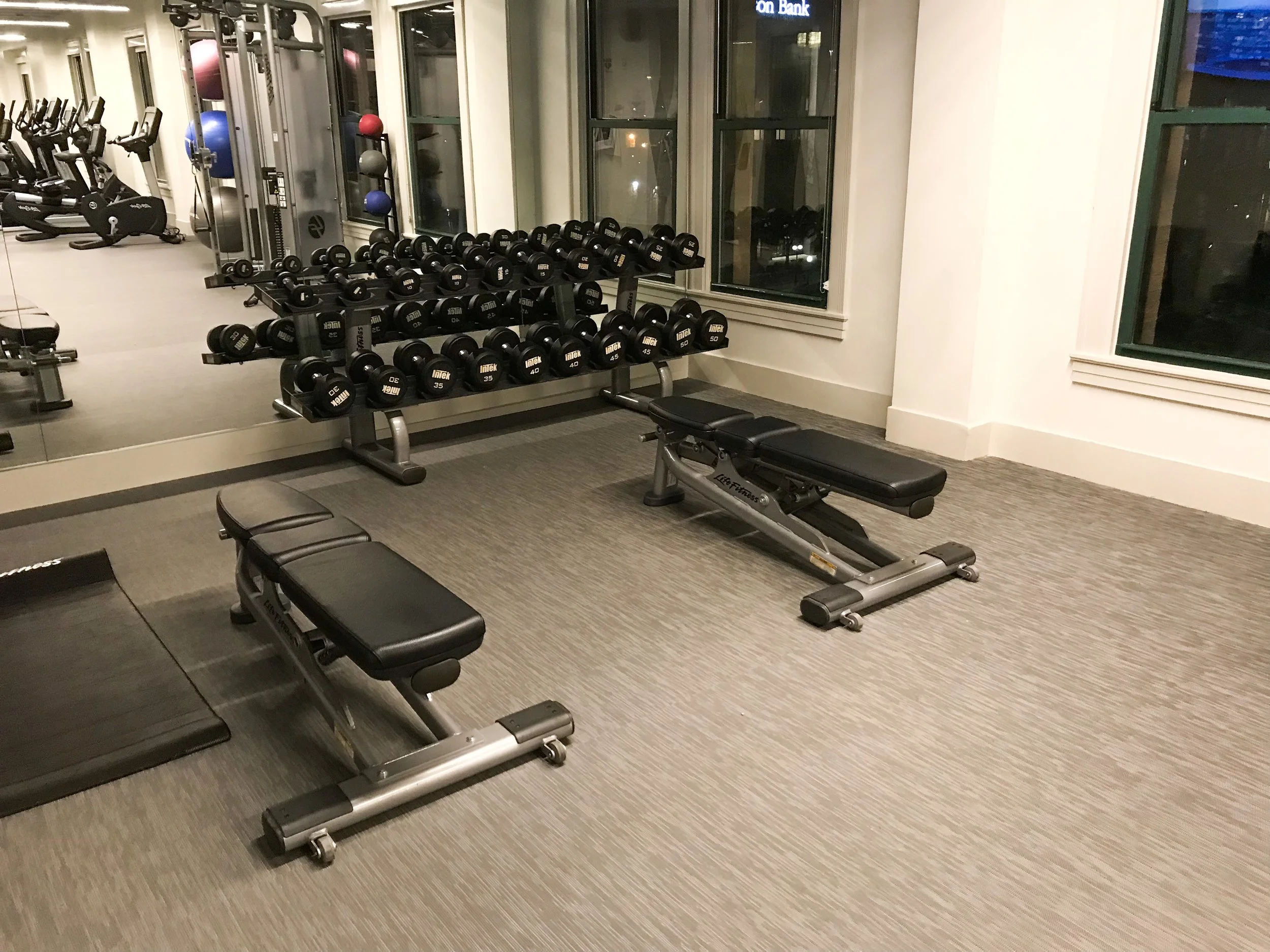 The workout room had a large selection of free weights.