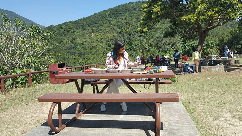 Picnic-800x450.jpg