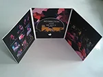 No-Direction-DVD-1.jpg