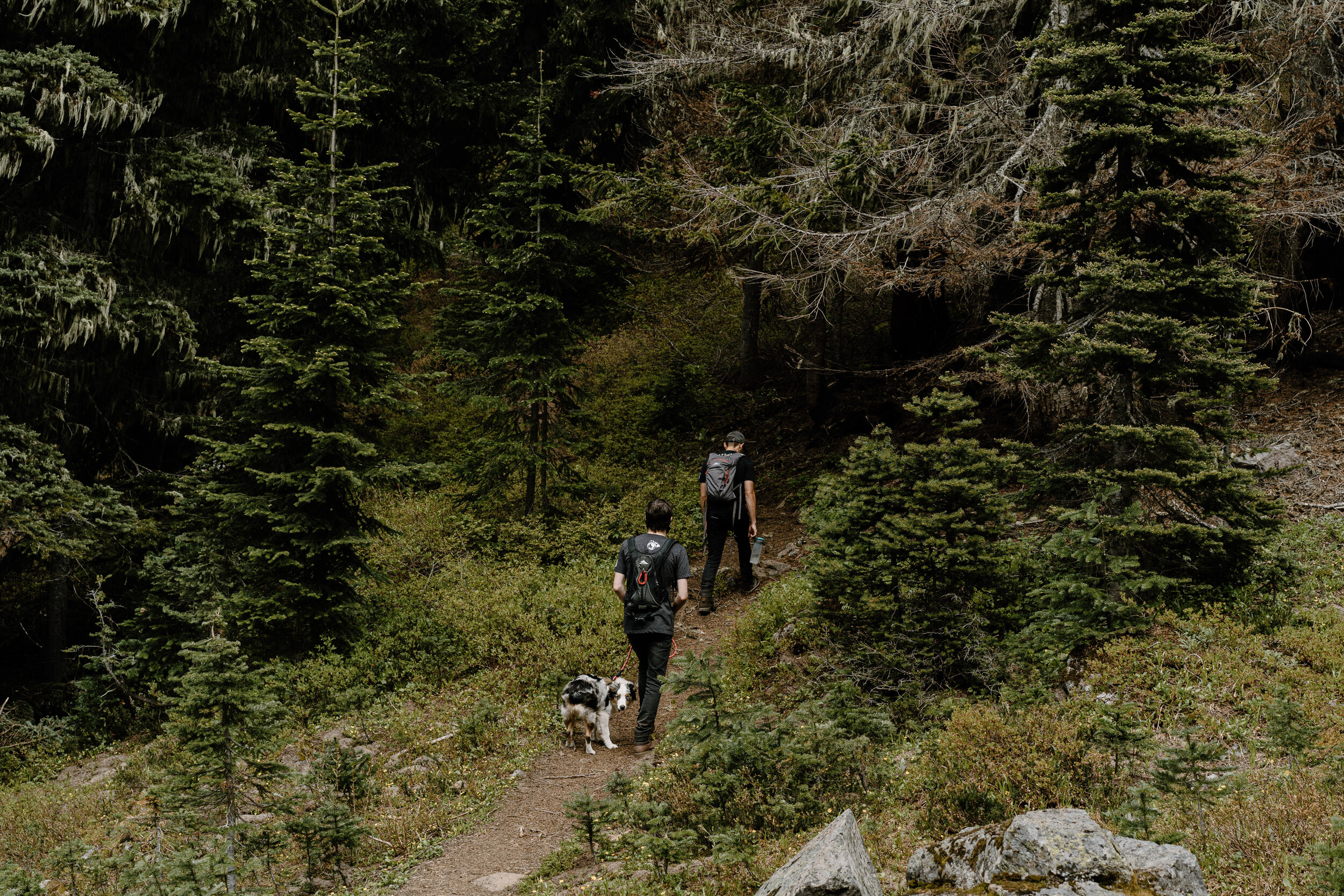 Raelin_Photographer_Washington_Hike_2020-340.JPG