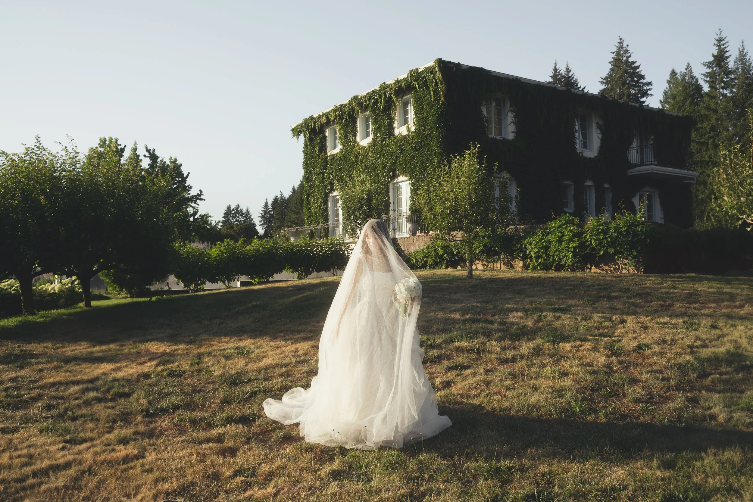 A Portrait Study at Monet Vineyards