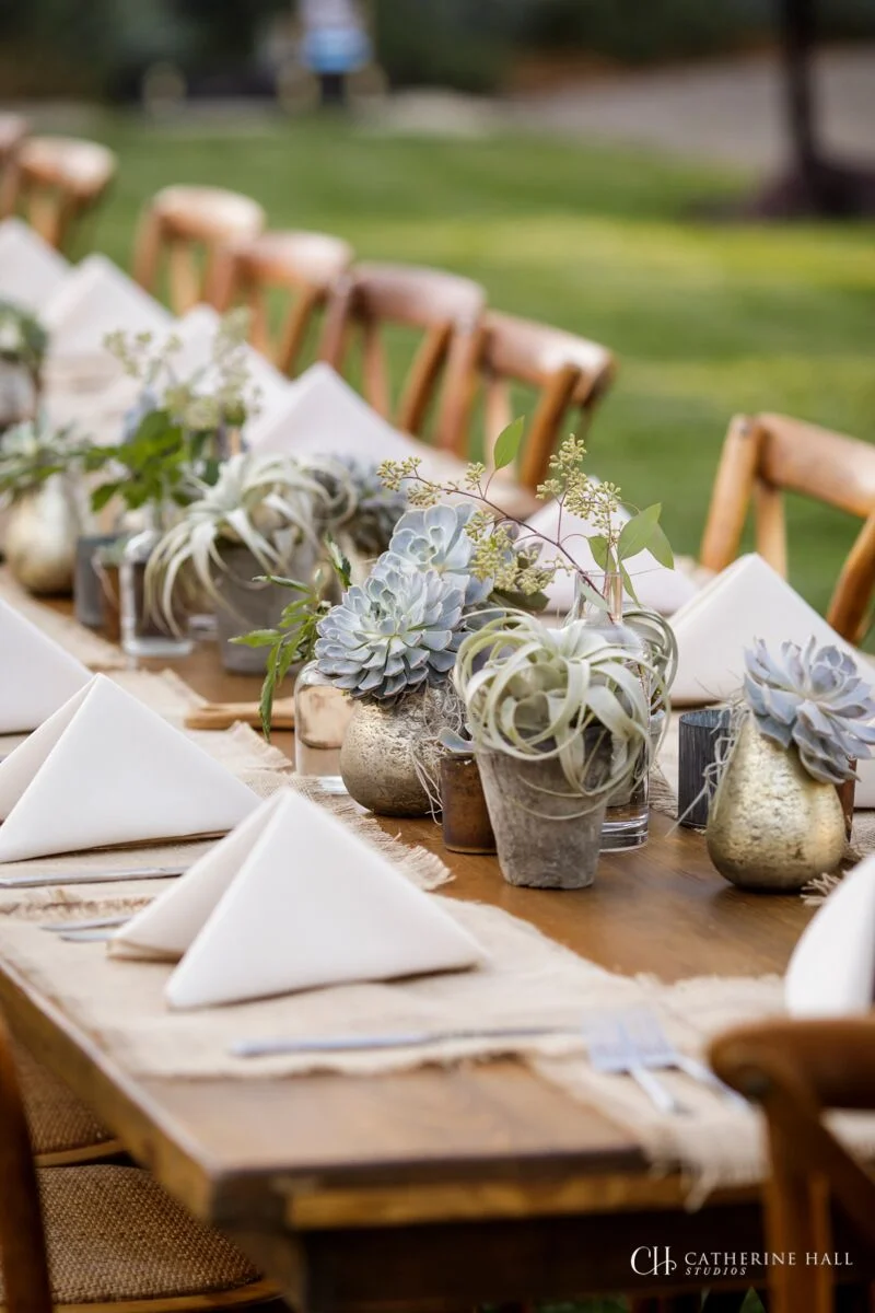 177_Catherine Hall Studios_Renee LIttle 50th_Day 1 Sonoma_preview.jpg