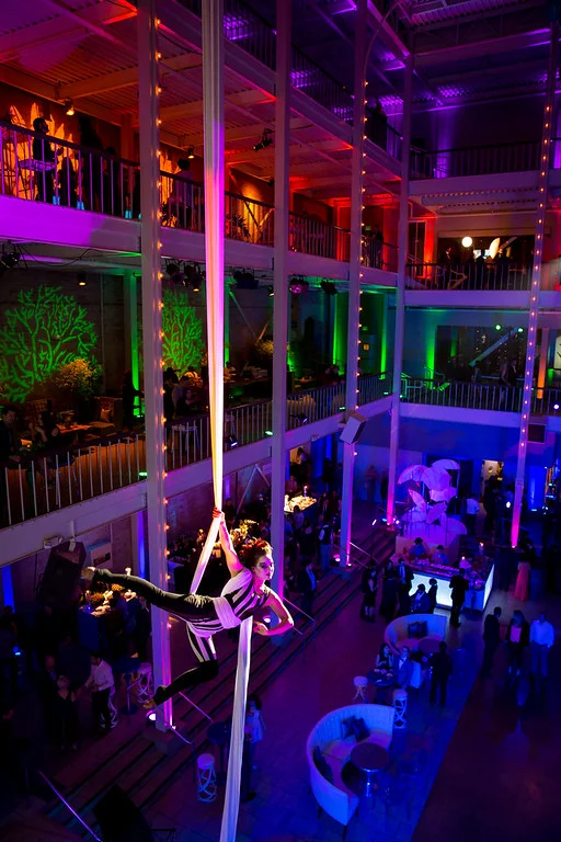 Full Venue with Aerialist.jpg