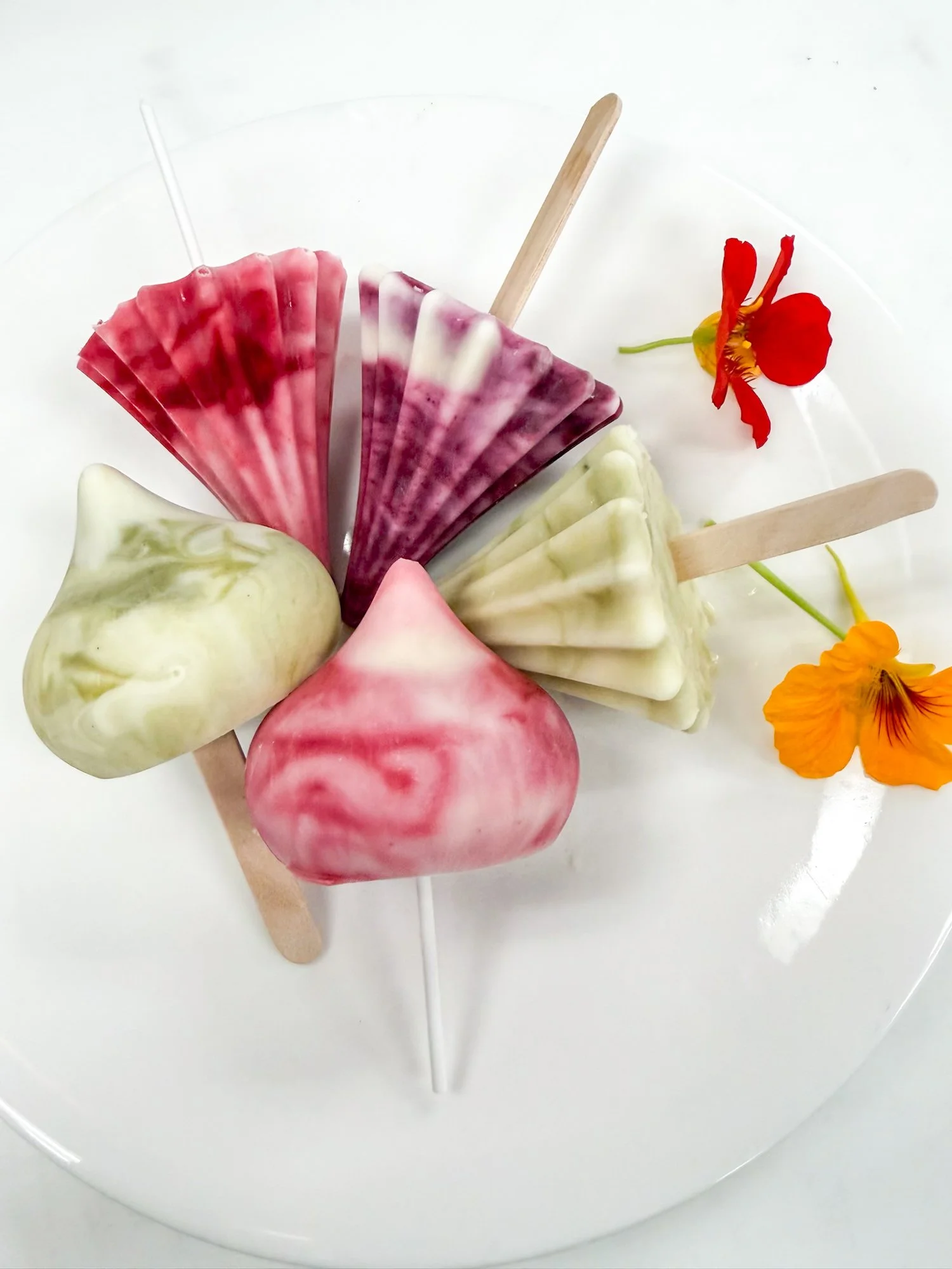 Frozen Yogurt Popsicle Matcha Booster Raspberry Hibiscus Jewel Acai Glow 5.jpg
