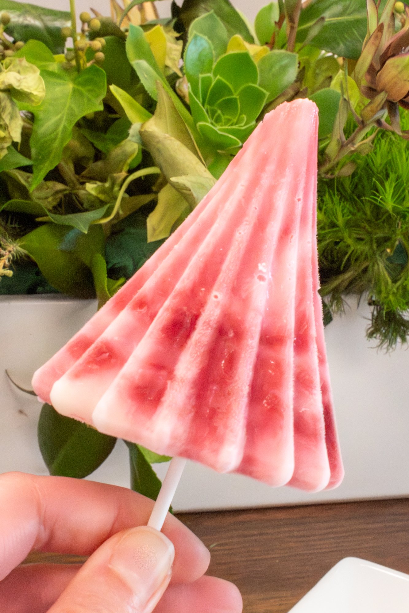 Frozen Yogurt Popsicle Raspberry Hibiscus Jewel.jpg