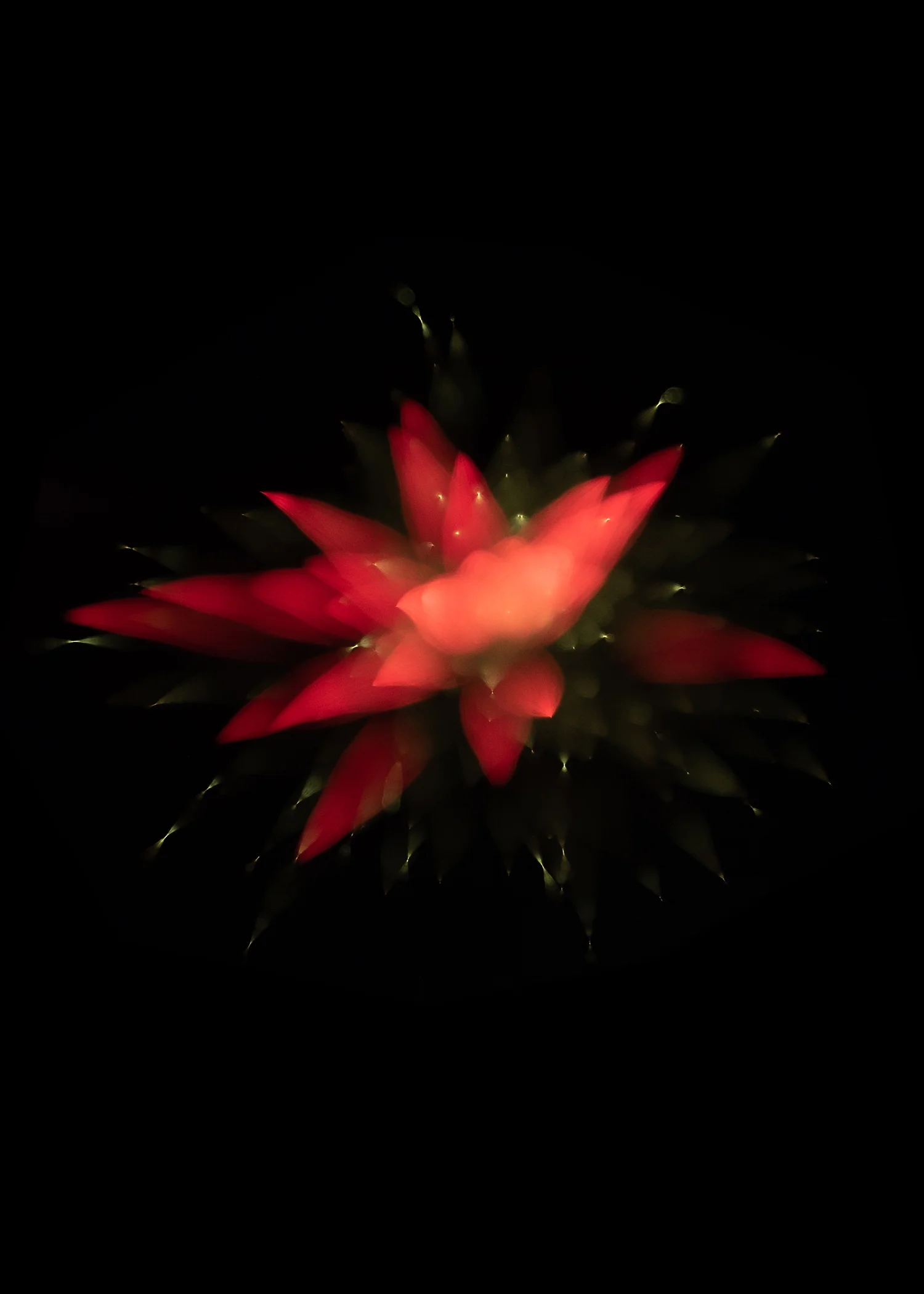 firework 2.jpg