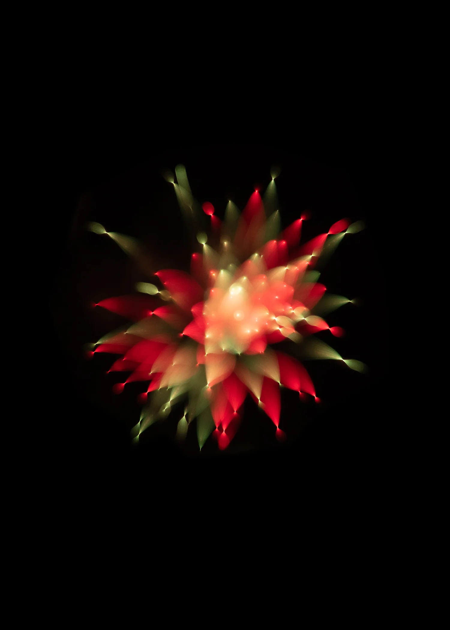 firework 4.jpg