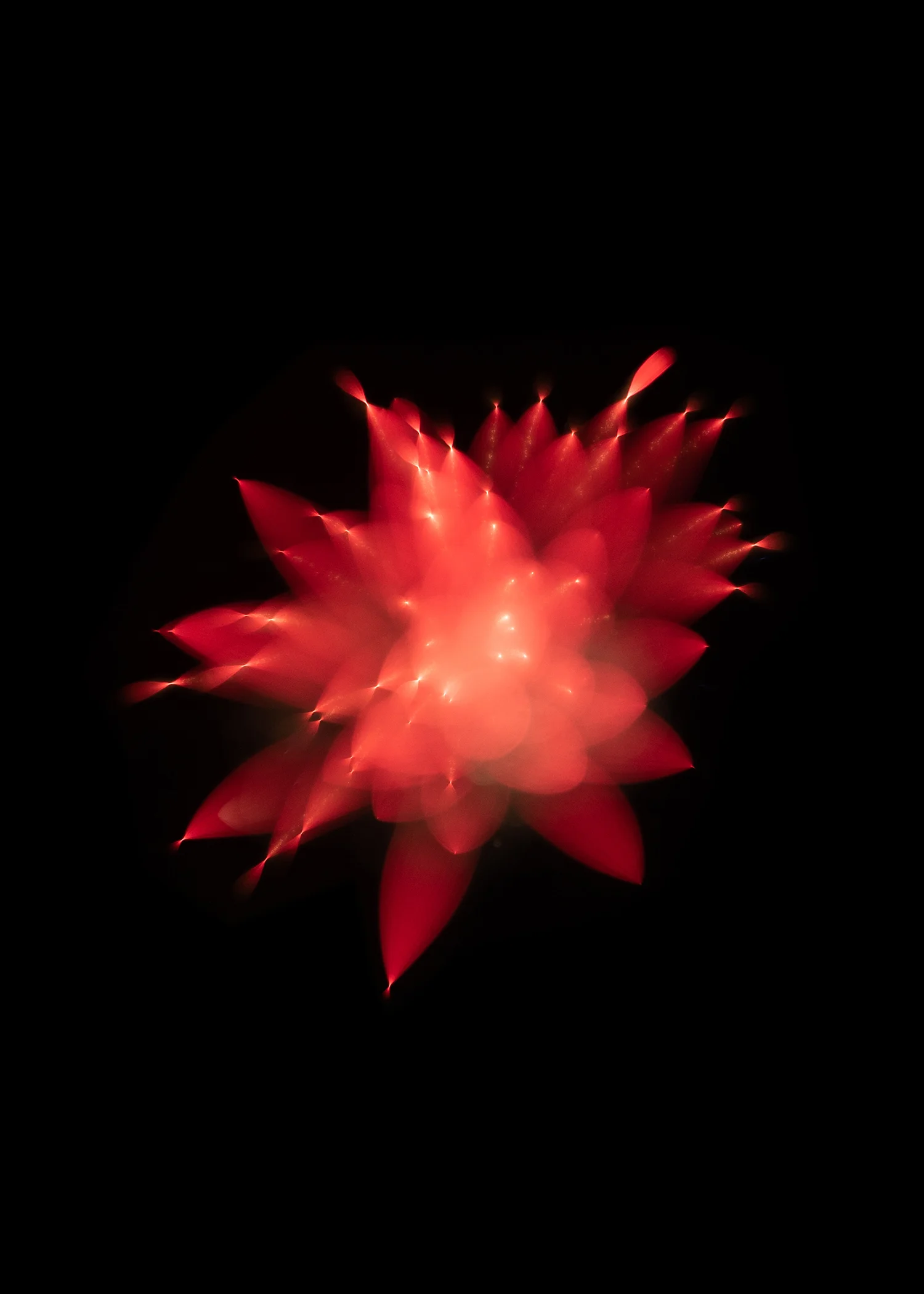 firework 1.jpg