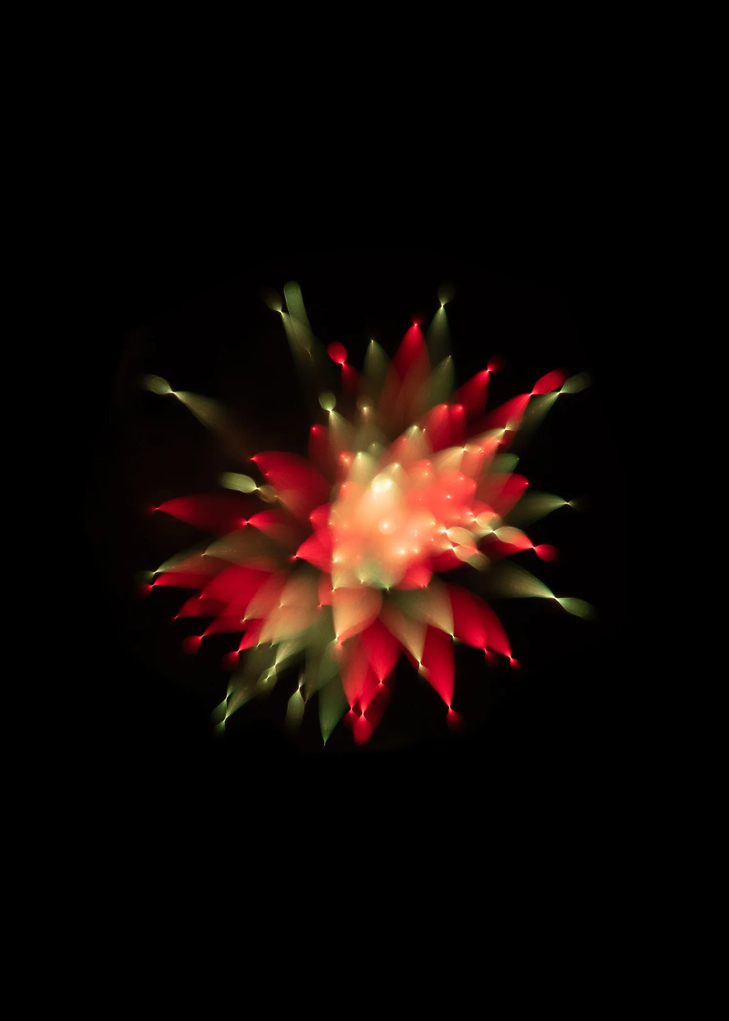 firework 4.jpg