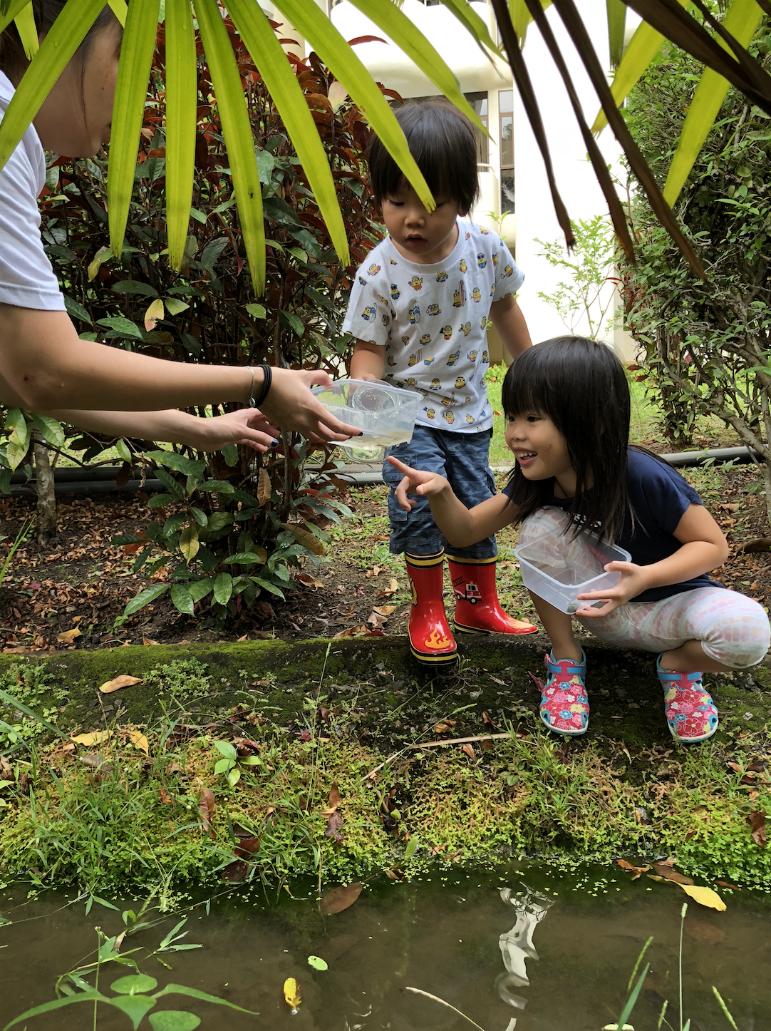 Screen Shot 2019-01-28 at 9.53.23 AM.png