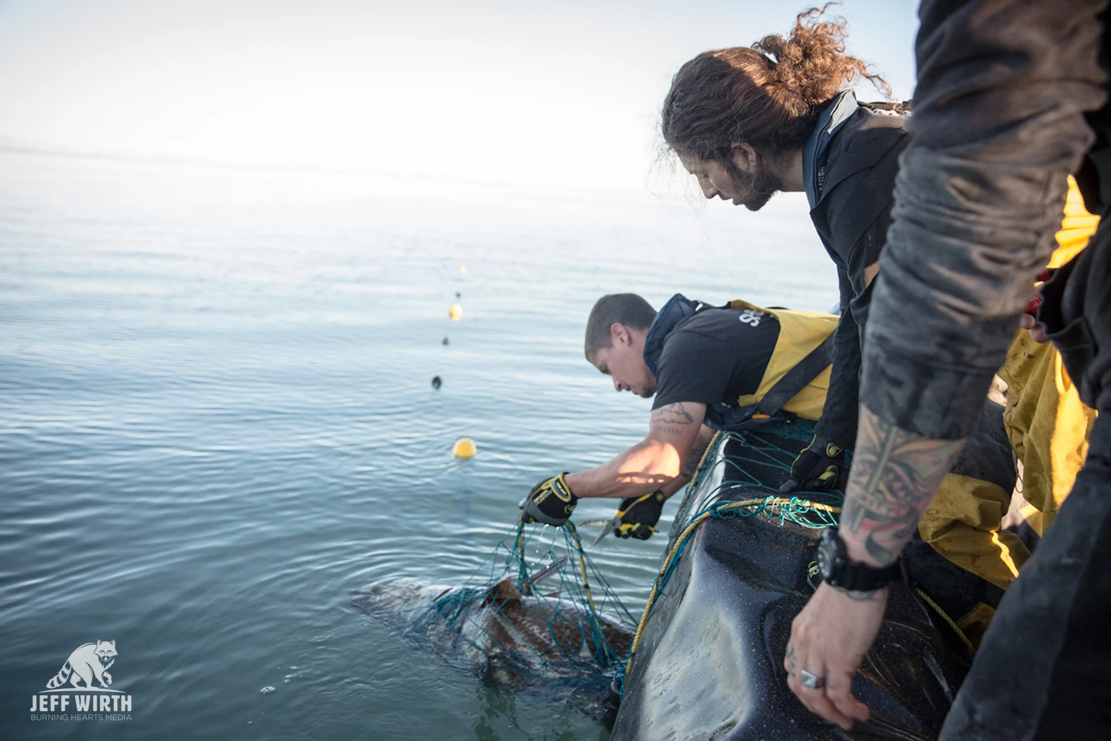 Sea Shepherd crew pull up an illegal gill-net. Gulf of California, Baja Mexico