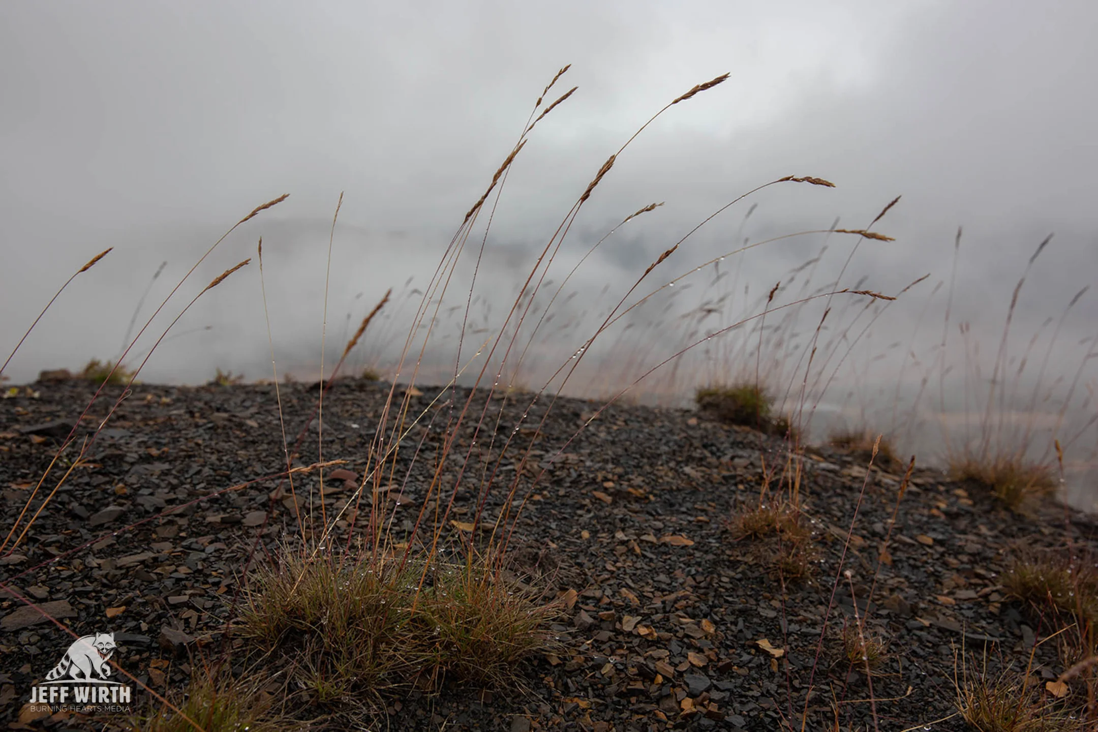 A cold and wet morning near the summit of Klappan mountain in the Sacred Headwaters, BC, Canada.