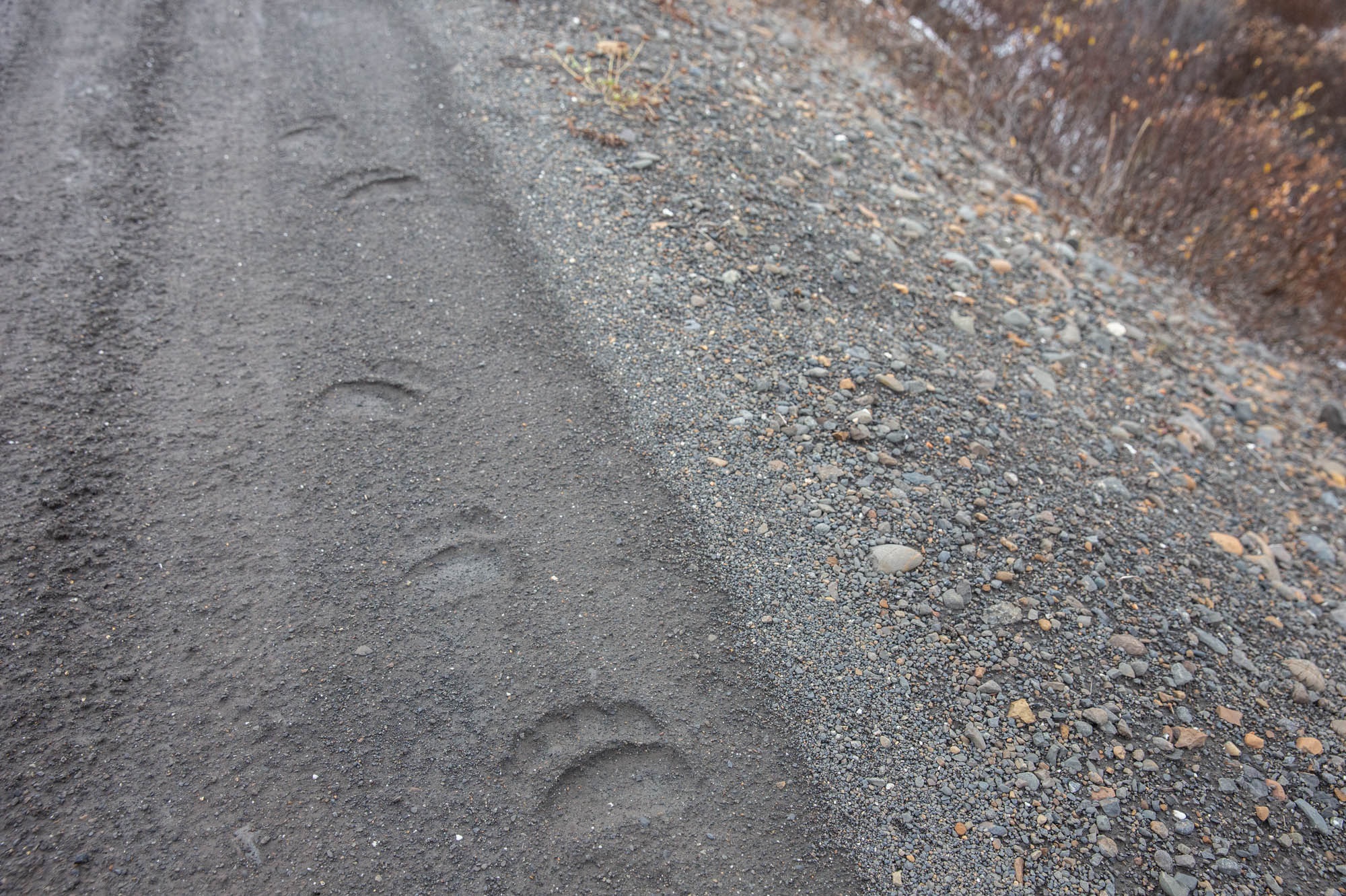 track+and+sign-3.jpg