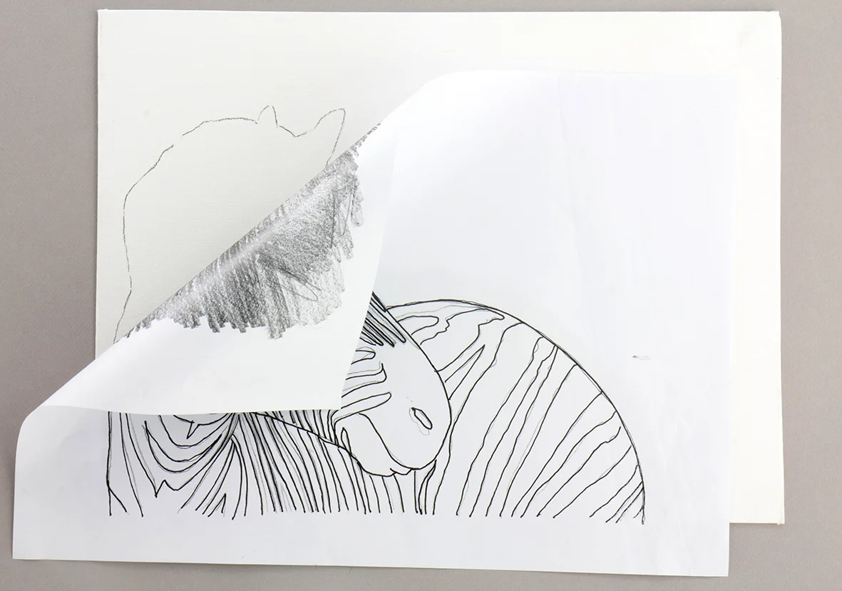zebra-02.jpg