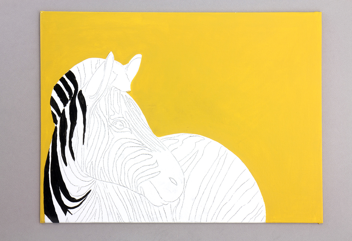 zebra-06.jpg