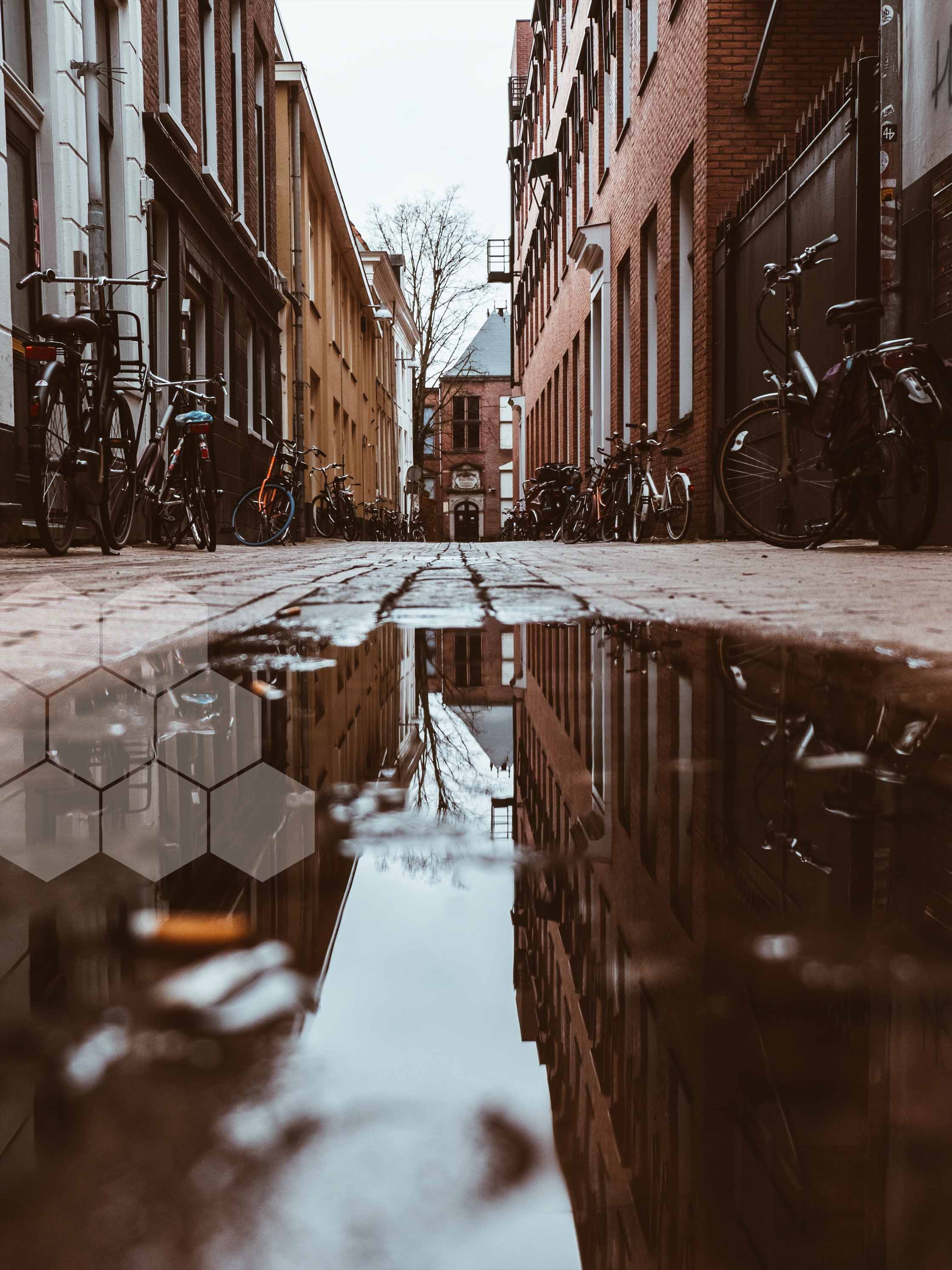 essential-photo-small-edit.jpg