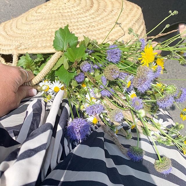 Fyller v&auml;skan med blommor l&auml;ngs v&auml;gar och &auml;ngar! Det &auml;r midsommar f&ouml;r mig och idag tjuvstartar vi 👌🏻🌿 #pensionatneptun #midsommar2020 #bedandbreakfast #visitbastad