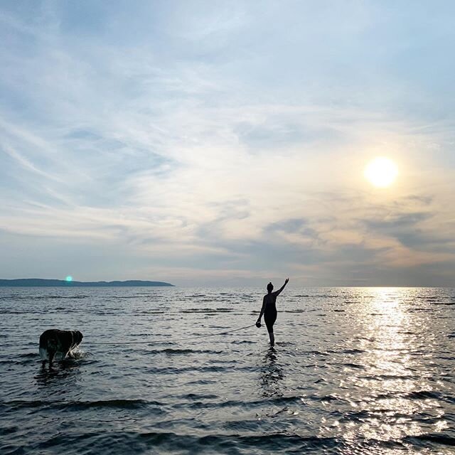 Kv&auml;llsdopp f&ouml;r tv&aring; varma sj&auml;lar #pensionatneptun #bj&auml;re #hundstrand #sommarisverige