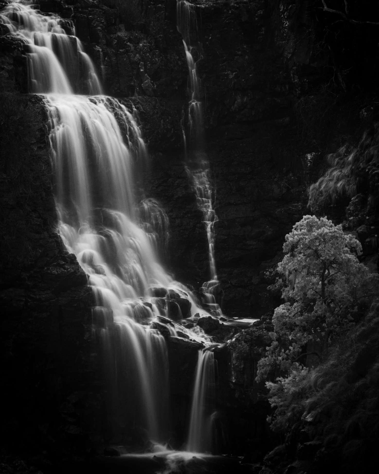 Do you like waterfalls in black and white? 

Lal Lal Falls, Moorabool, VIC, Australia.

Fujifilm X-T5, XF50-140mmF2.8 R LM OIS WR + 2x Teleconverter
 #fujifilmaustralia #fujifilmau #fujifilmaus #australia #jerentanphoto #Fujifilm #fujifilmxseries #gr