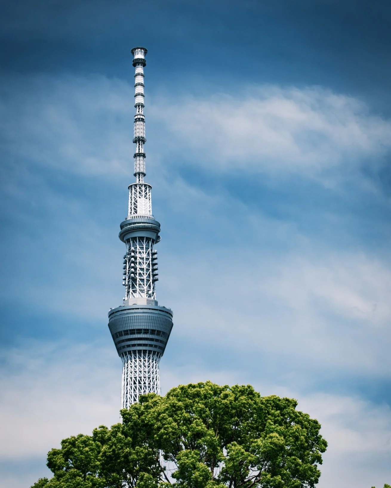 Tree X Tokyo Sky Tree,  Tokyo, Japan

Fujifilm X-T5, Sigma 16-300mm F3.5-6.7 DC OS

 #tokyo #japan #blueskies #blue #sigmaphoto #sigmalens #fujixt5 #fujifilmxt5 #fujifilmxseries #Fujifilm #fujifilmaus #GreenBlooded