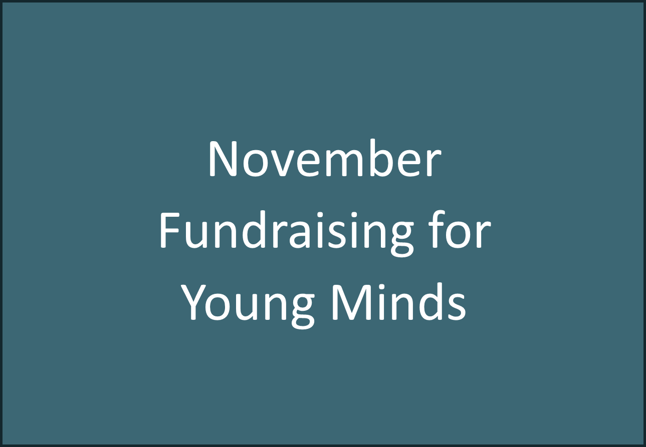 Increasing Activity Levels for Young Minds