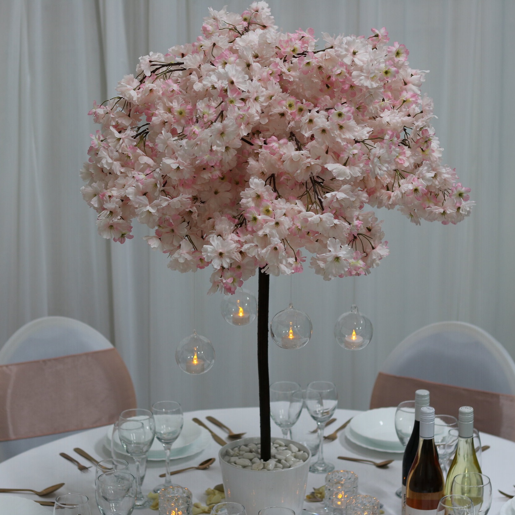 Cherry Blossom Trees For Hire