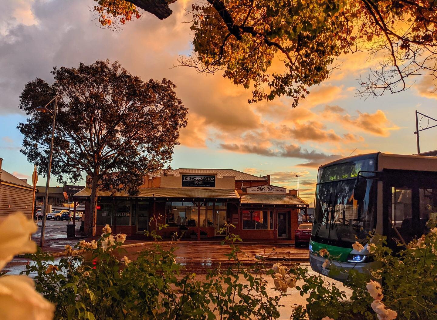 Gallery — The Cheese Shop