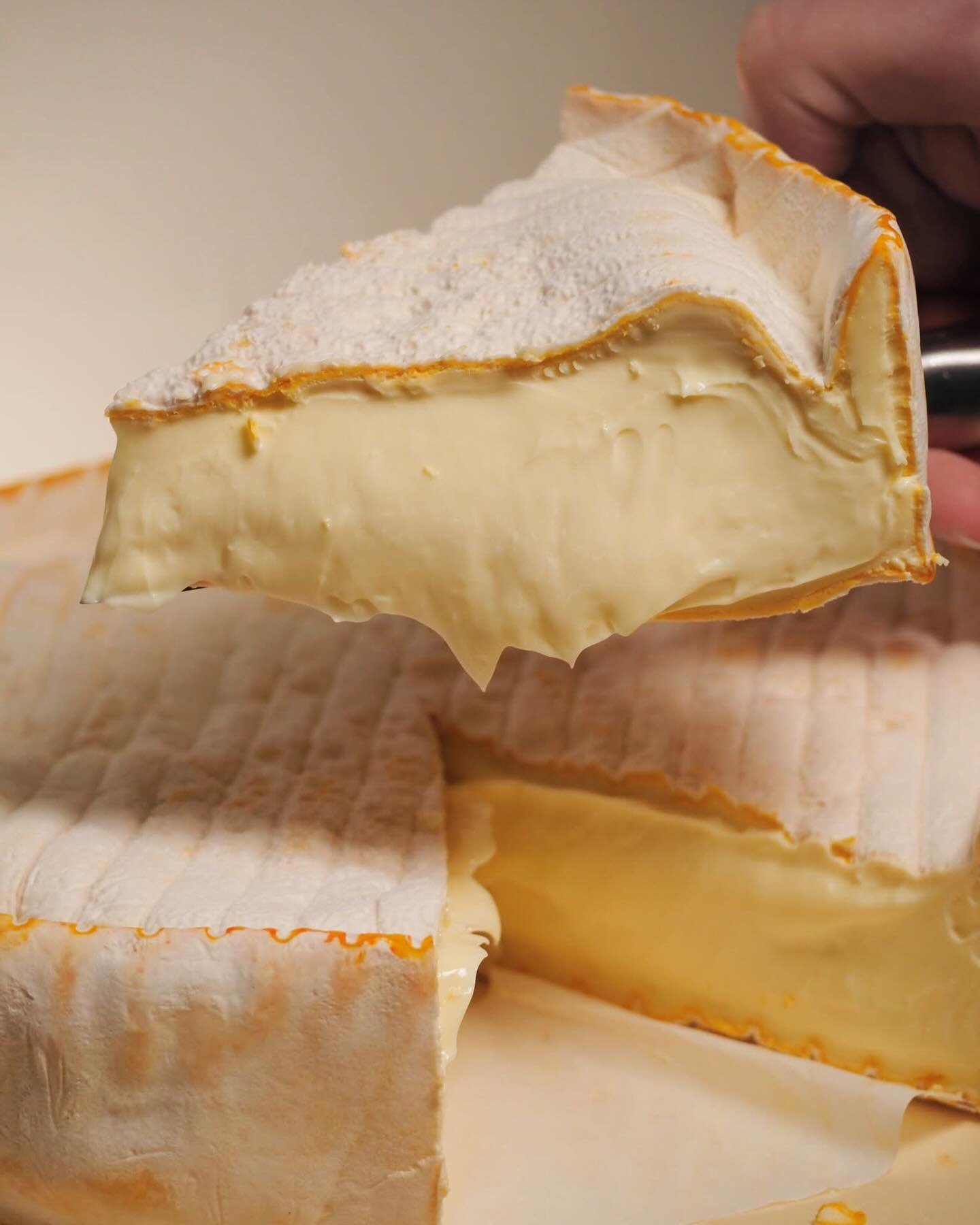 RIPE &amp; READY TO GO! 🧡

Vacherousse d&rsquo;Argental is a washed rind cow&rsquo;s milk cheese that is utterly decadent and delicious. It&rsquo;s perfectly ripe, gooey and ready to go on your weekend cheese board 🧀

Come check it out at The Chees