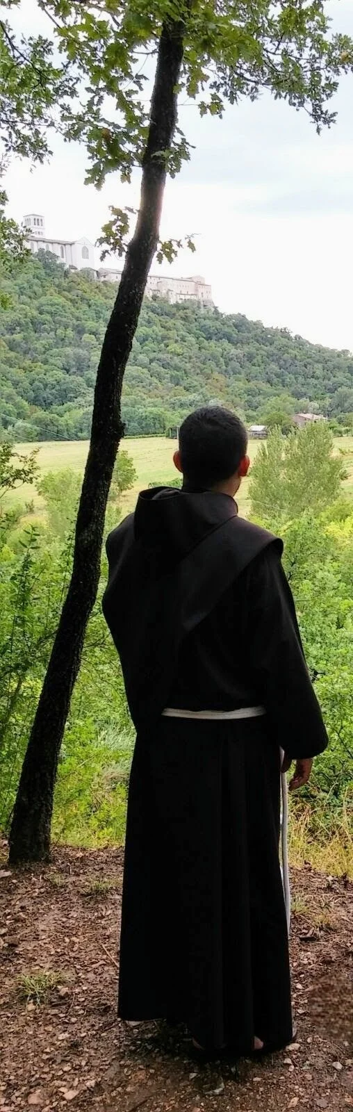 Del seguimiento de Jesús en la Vida Consagrada