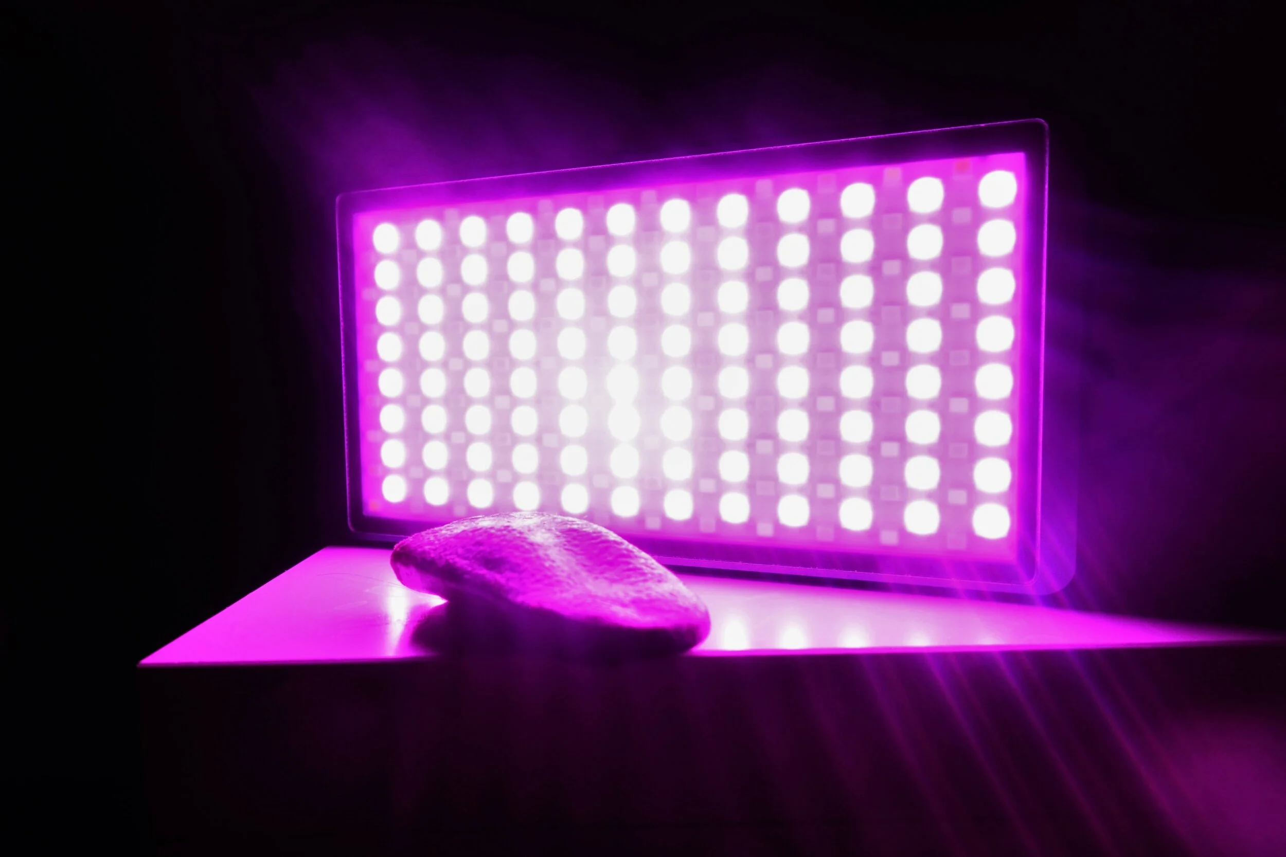 poem: katalin pusztaszeri