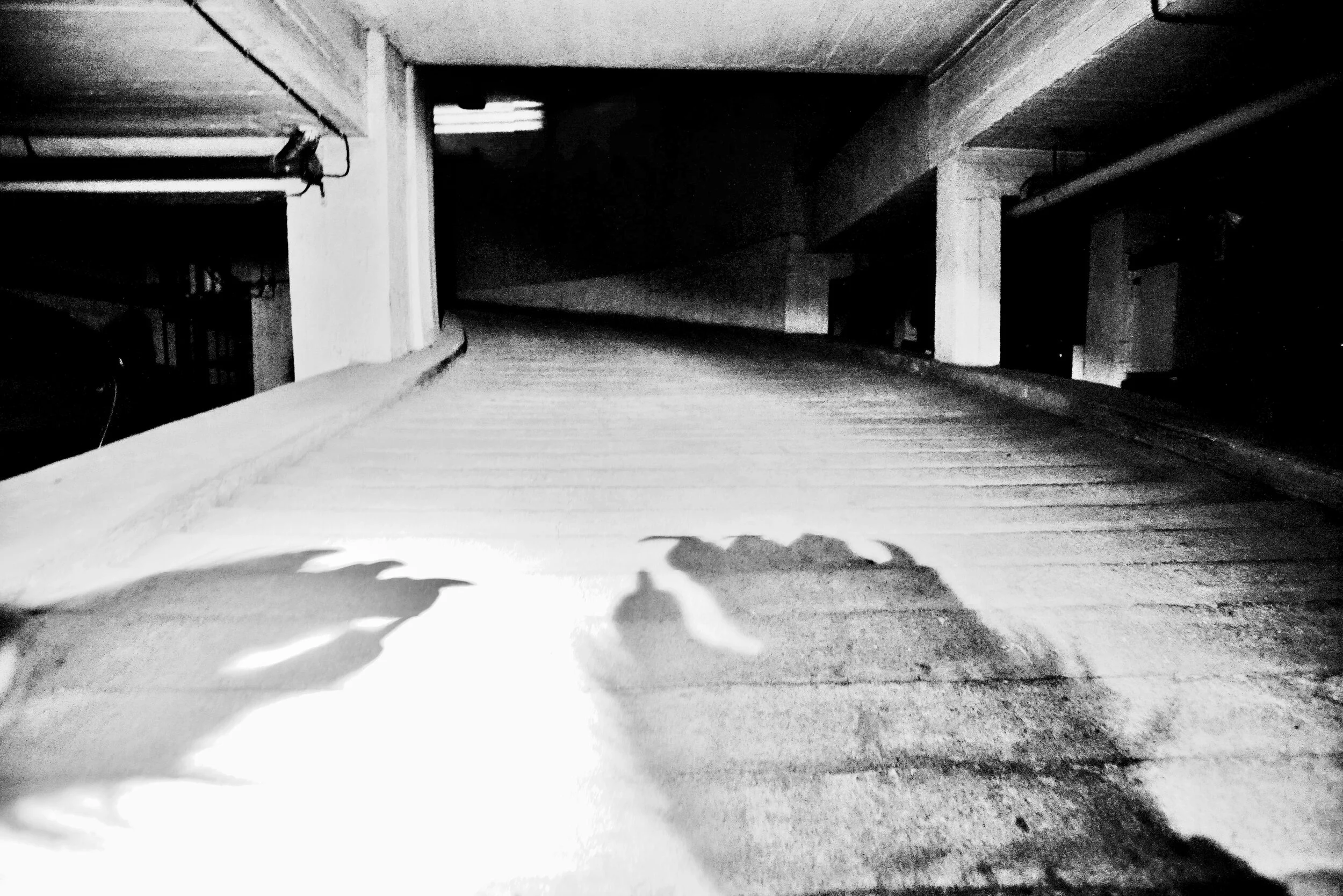 poem and photograph: katalin pusztaszeri