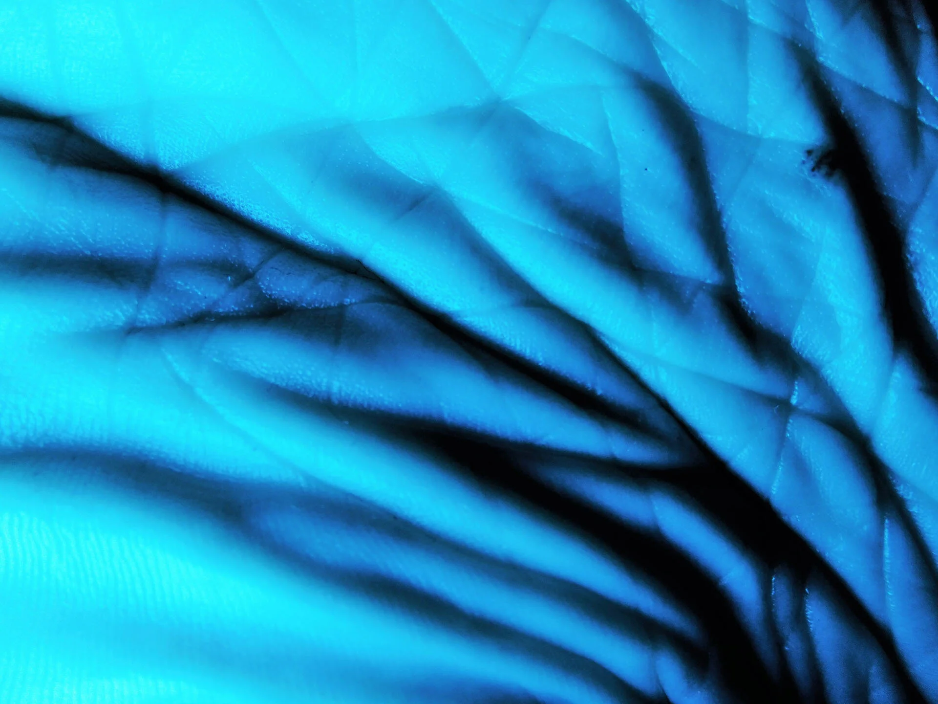 prose poem: katalin pusztaszeri