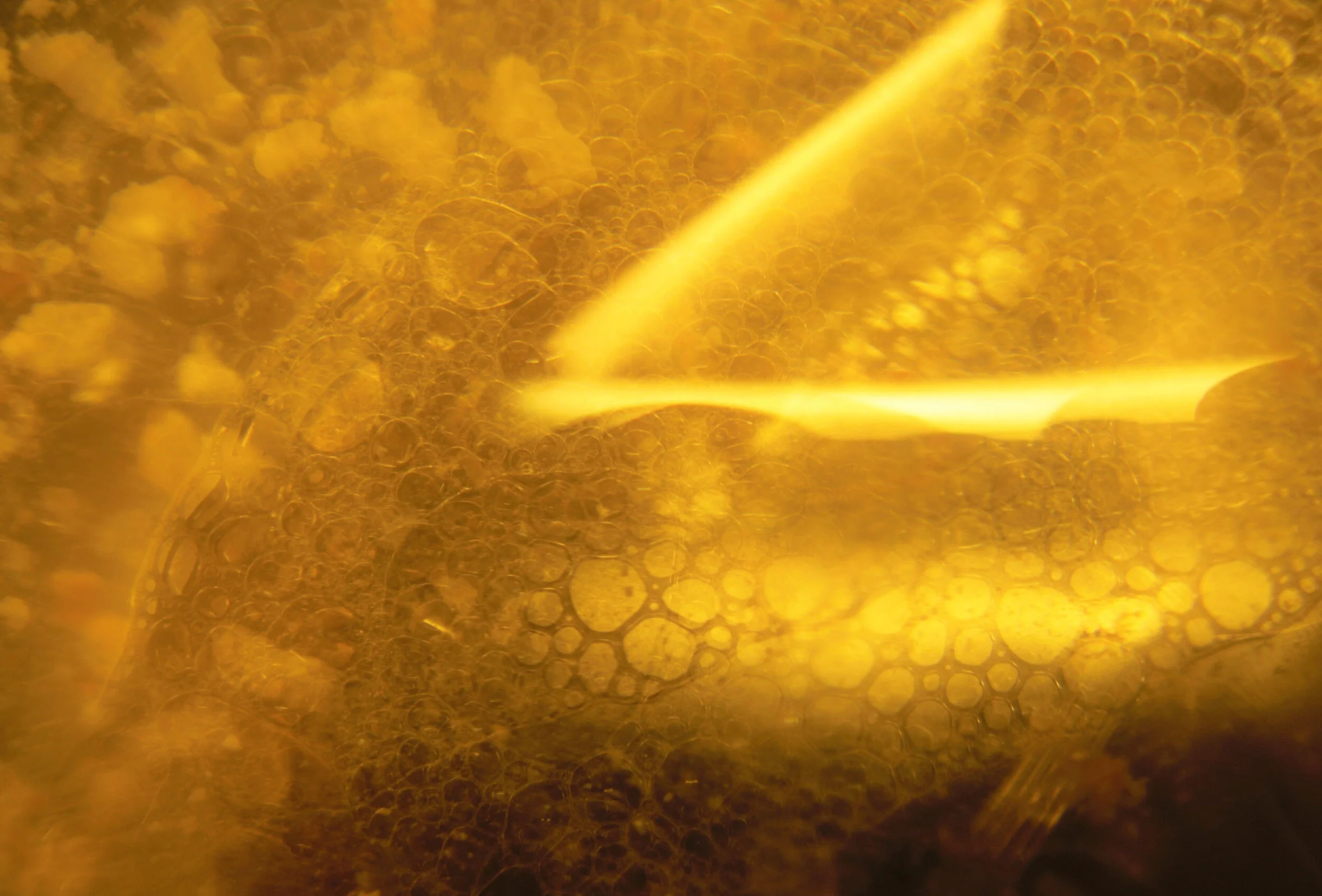 journal entry and photo: katalin pusztaszeri