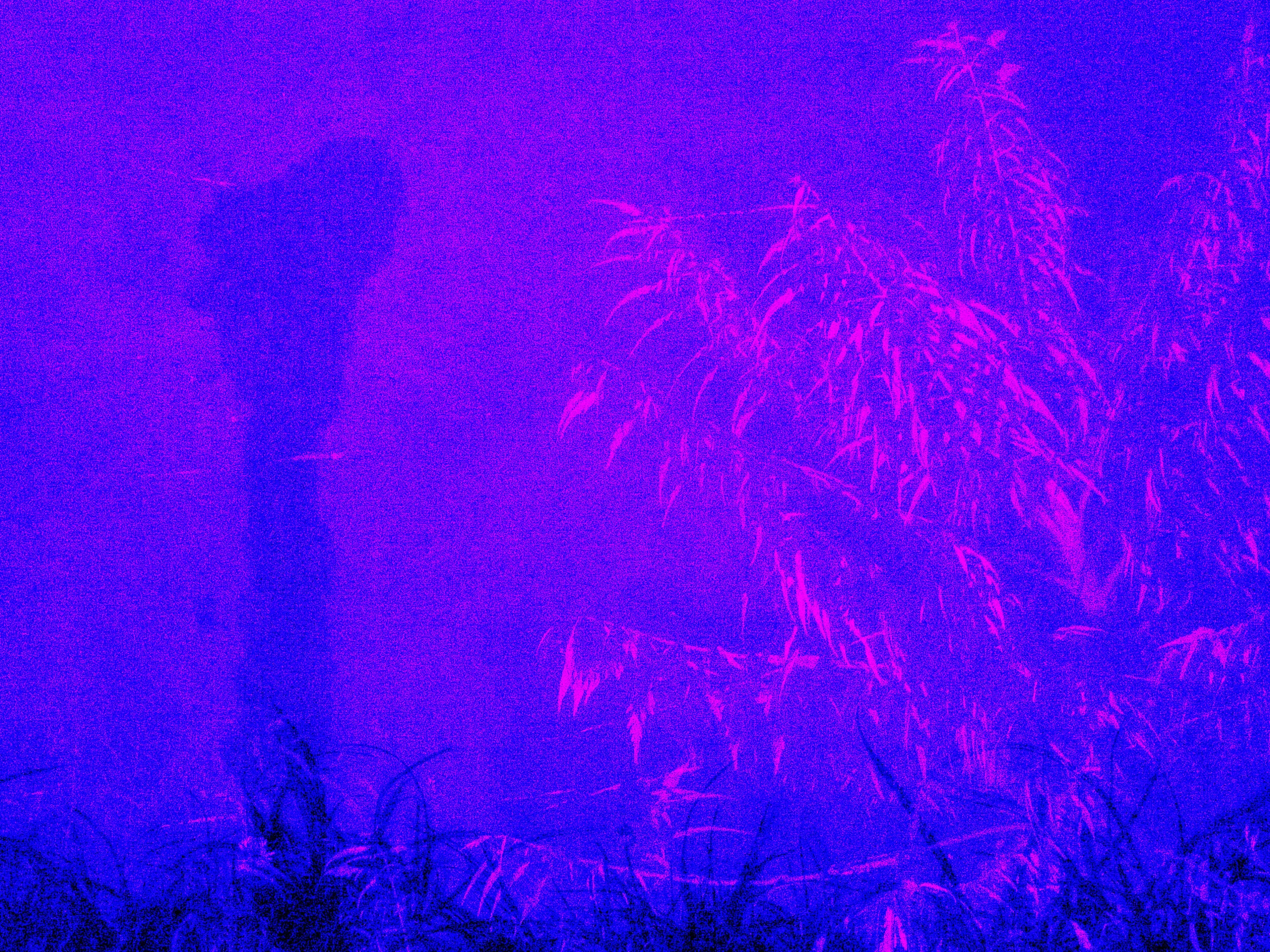 photo and poem: katalin pusztaszeri