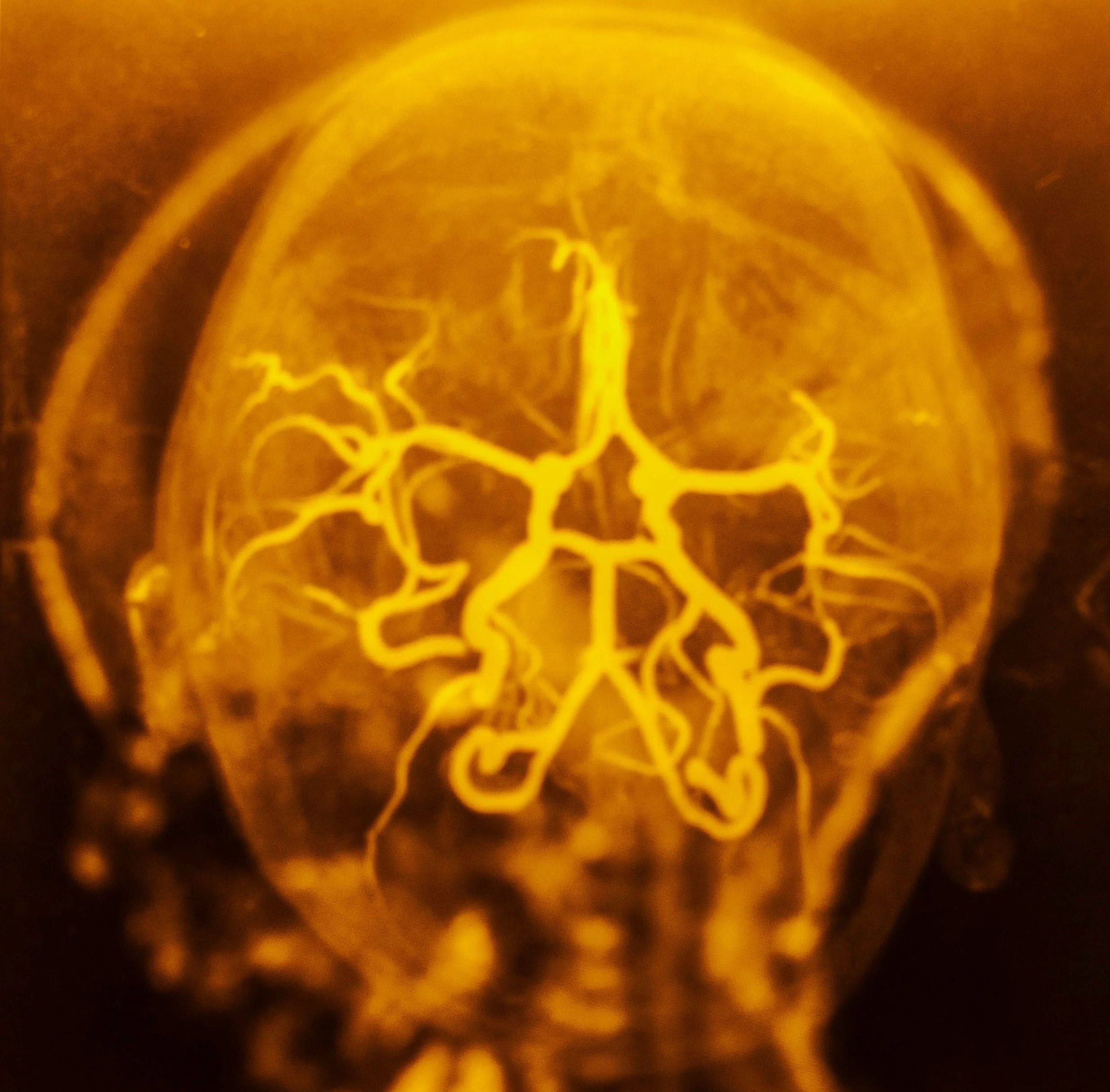 photo and poem: katalin pusztaszeri